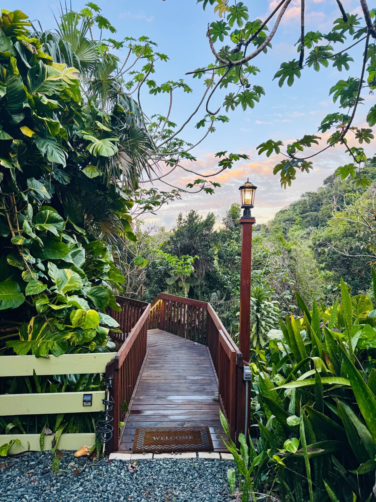 Lantern-lit wooden walkway leading from the parking area into the rainforest at sunset