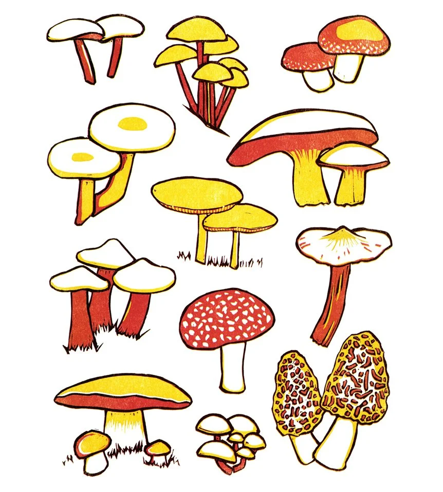 MUSHROOMS   |   reduction linocut   |   10" x 8"