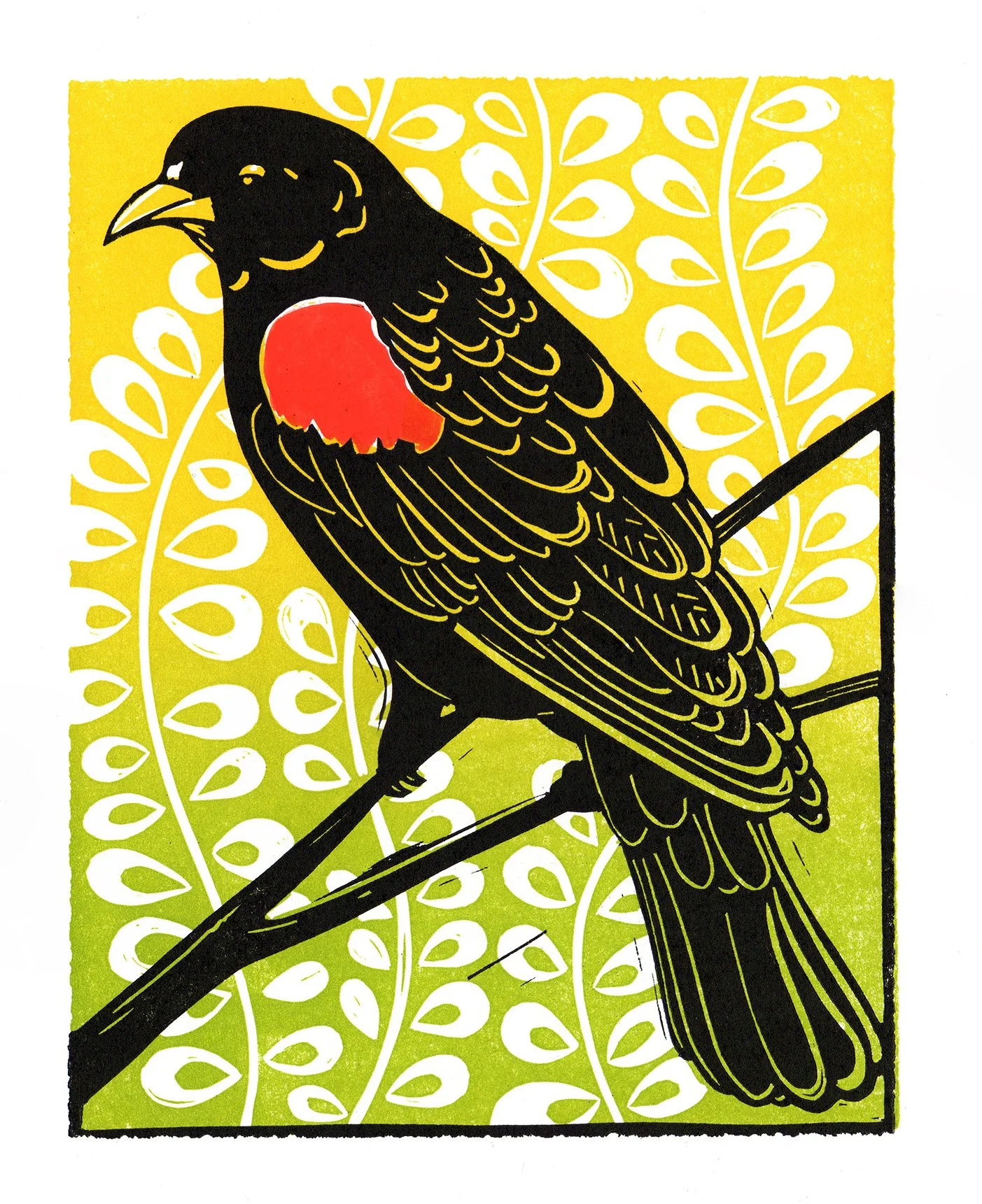 RED-WINGED BLACKBIRD   |   linocut