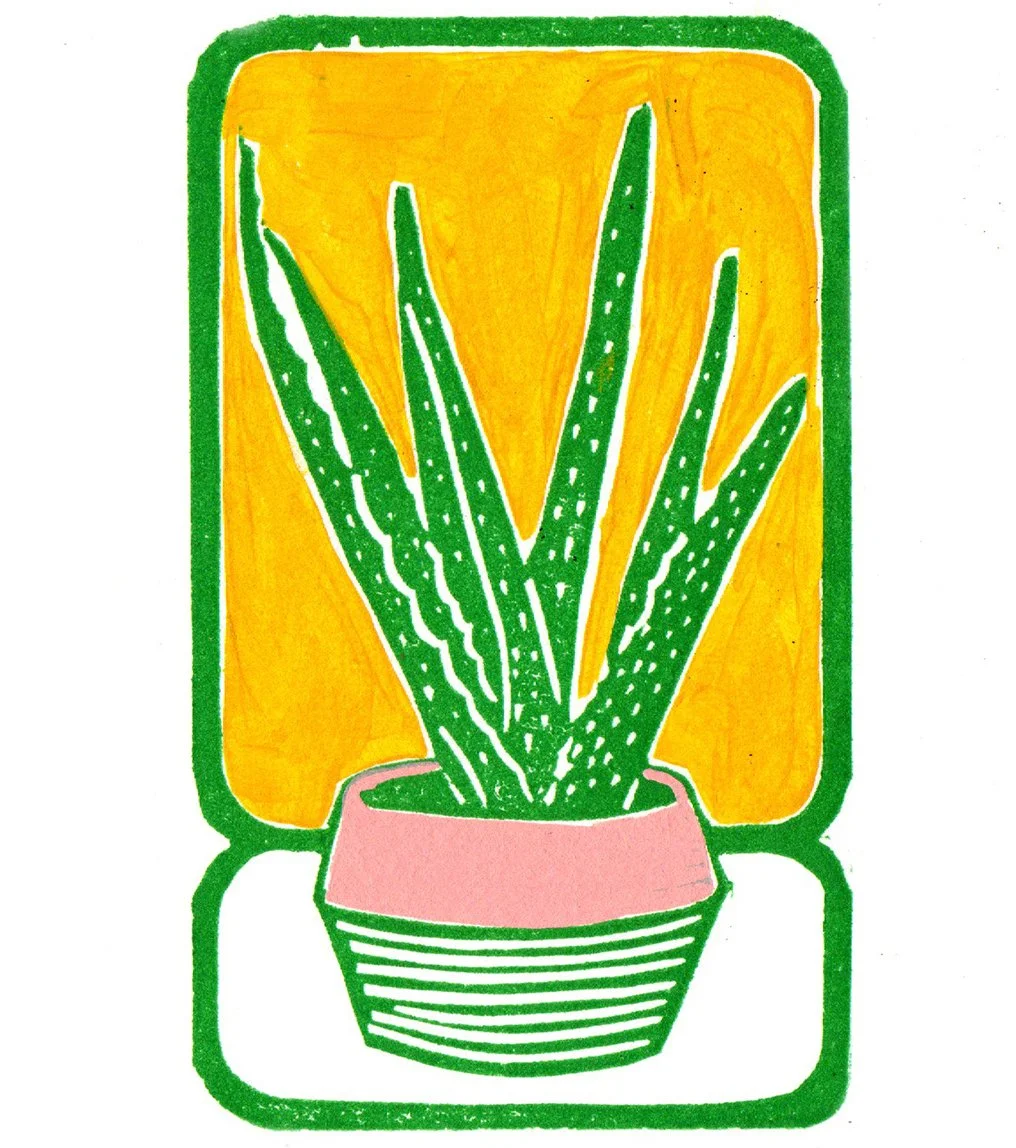 ALOE   |   linocut with gouache