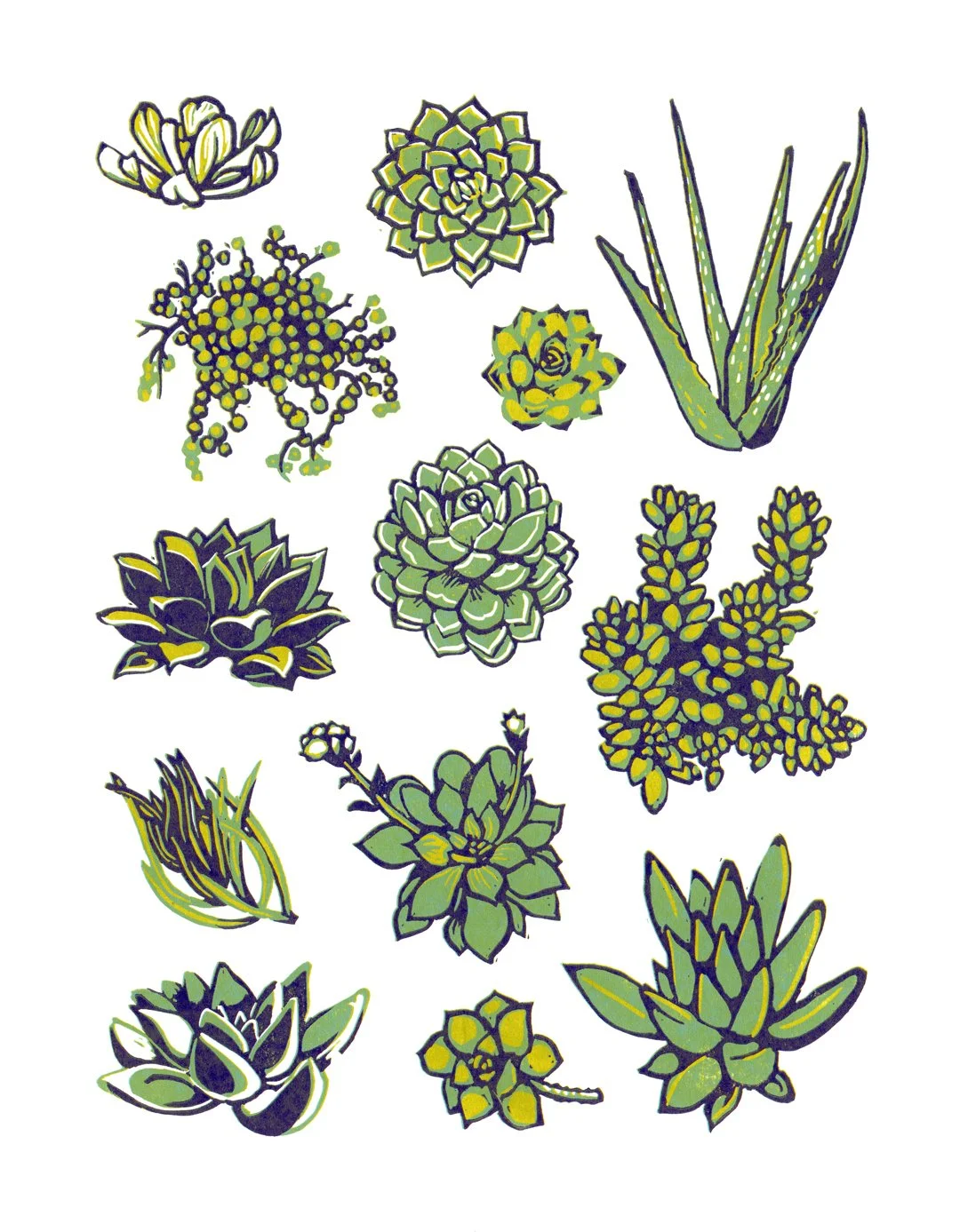 SUCCULENTS   |   reduction linocut