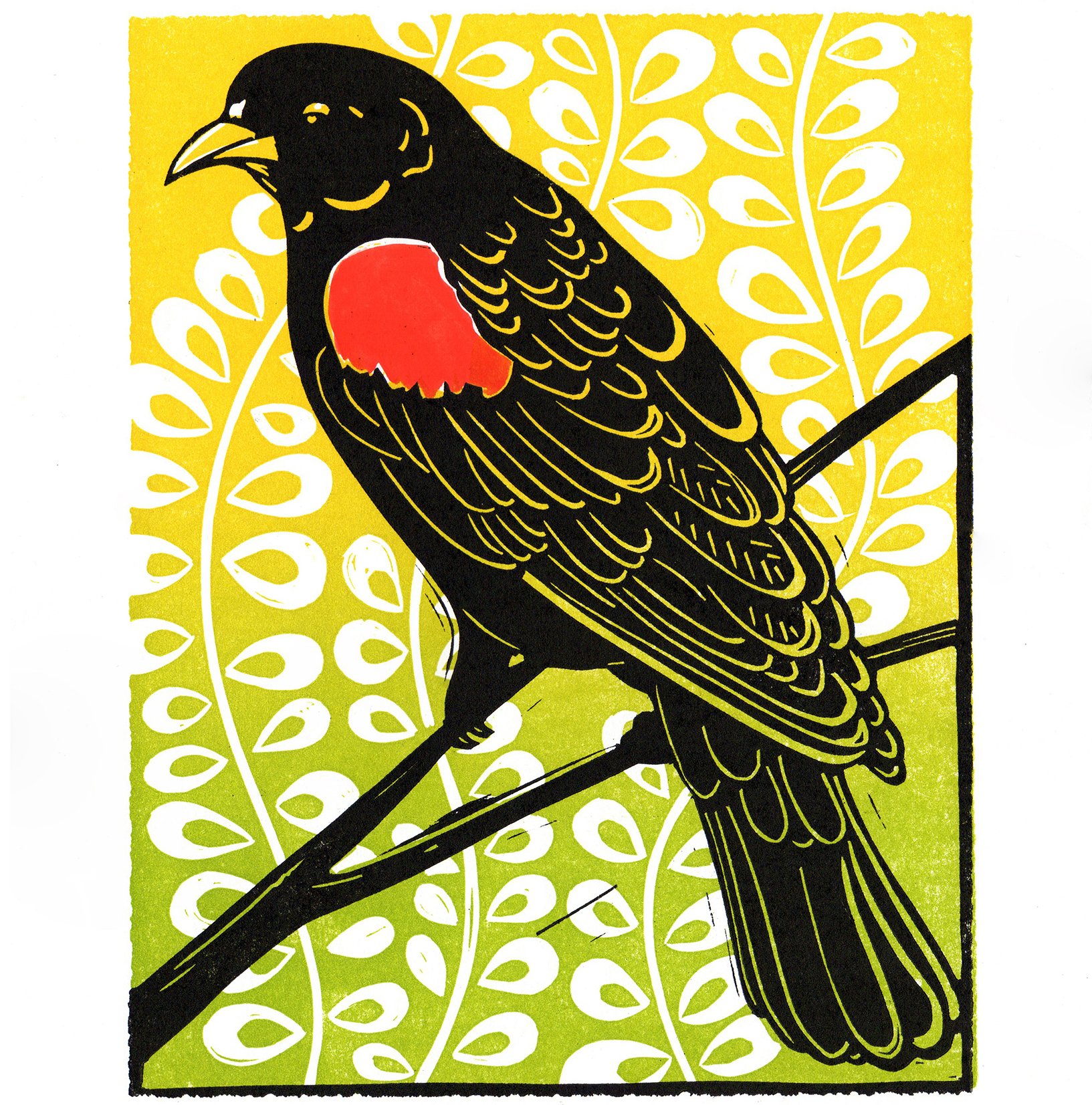 RED-WINGED BLACKBIRD   |   linocut   |   10" x 8"