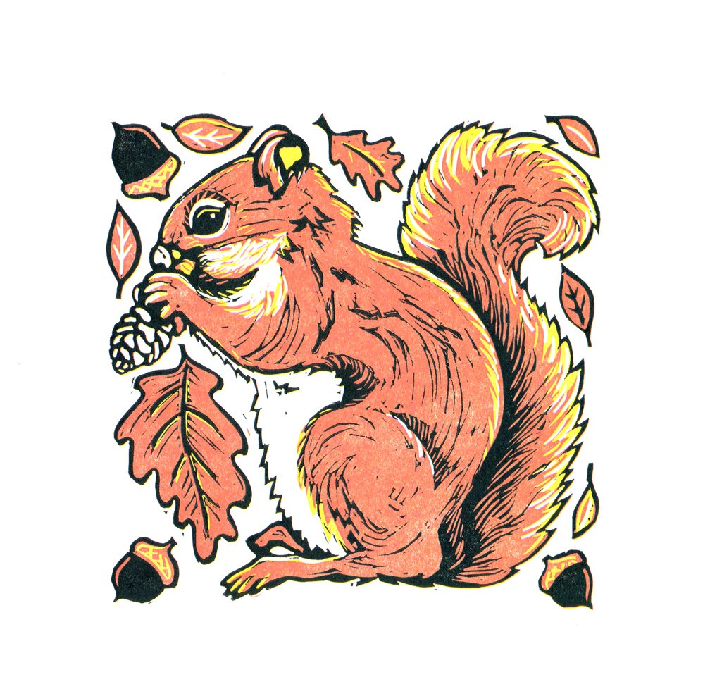 SQUIRREL   |   reduction linocut   |   6" x 6"   |   SOLD