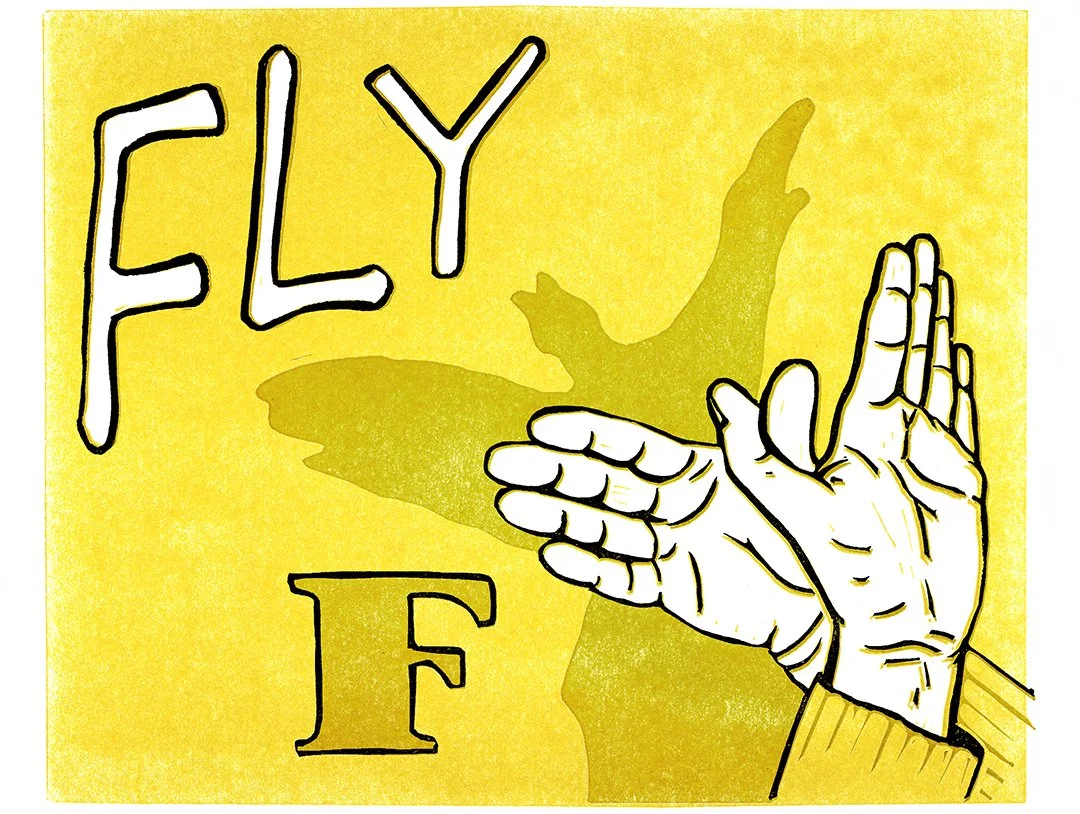 Fly_Original_web.jpg