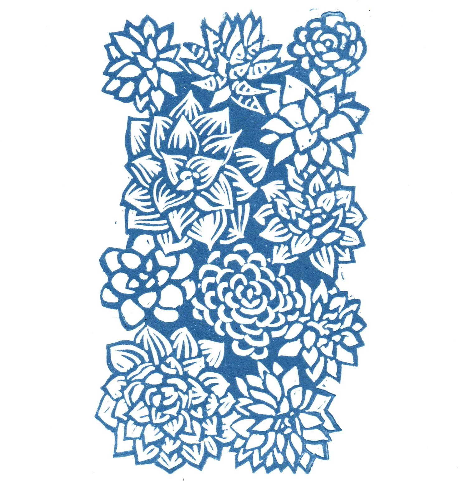SUCCULENTS   |   linocut