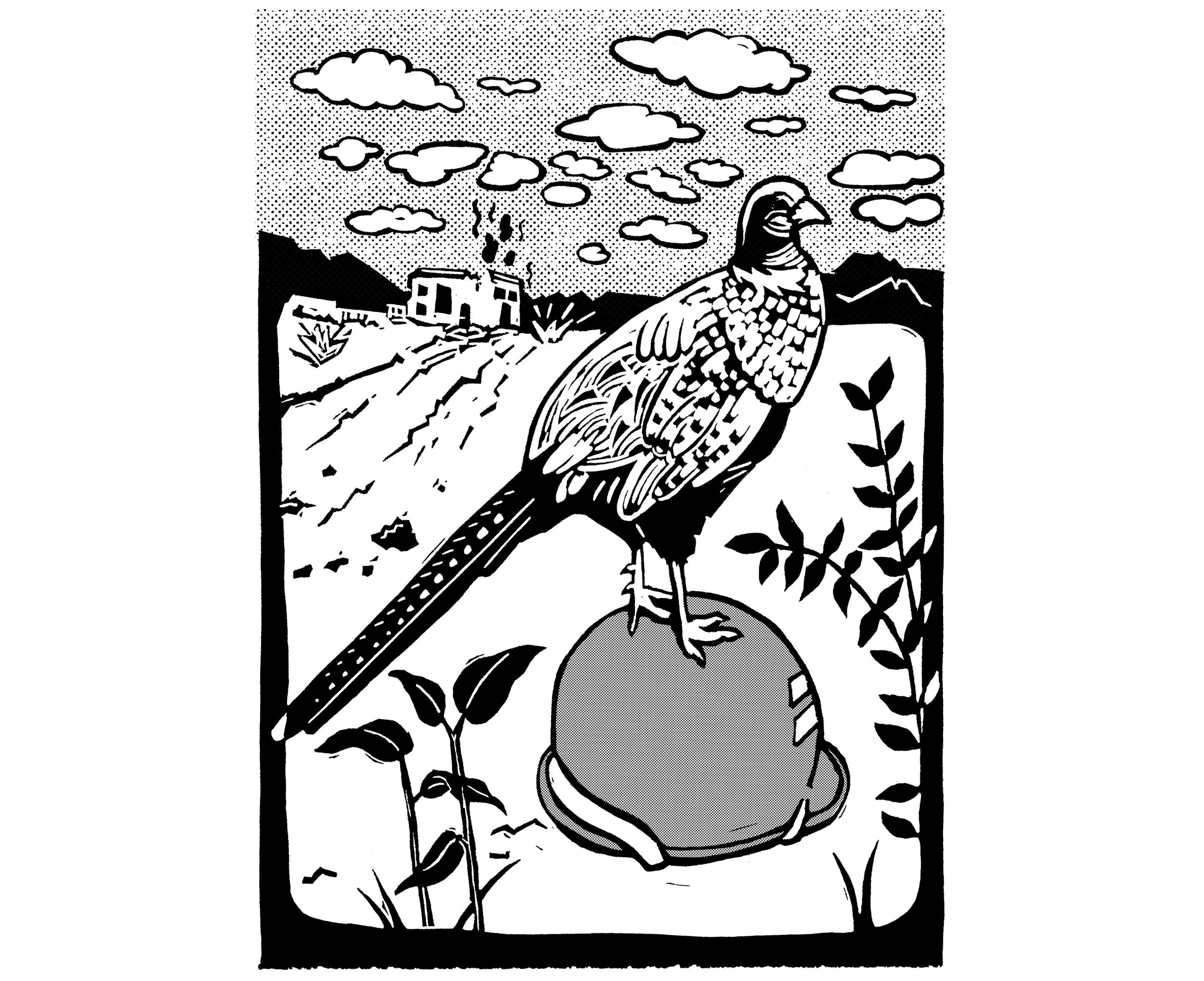 Pheasant on Helmet  |   Korean War Book (unpublished)   |   linocut