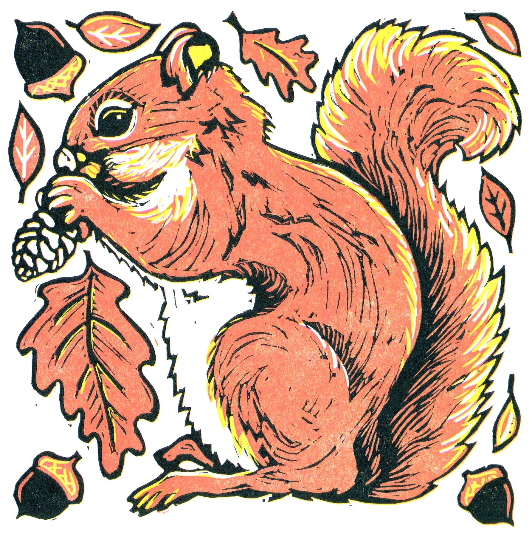SQUIRREL   |   reduction linocut