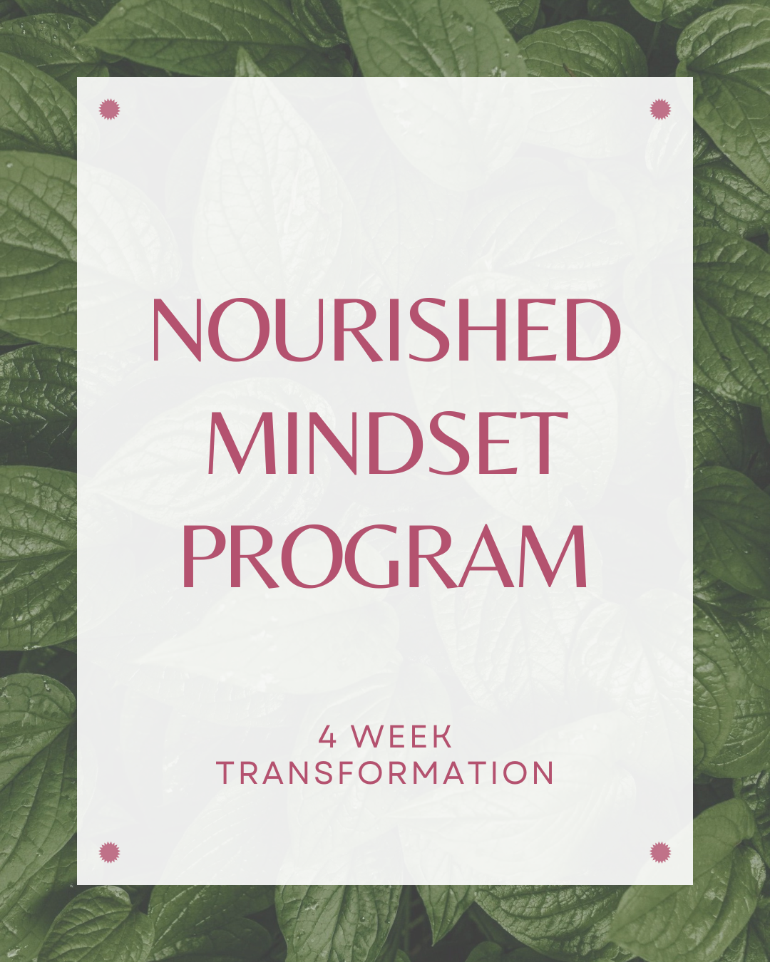 Group Programs - Coming Soon