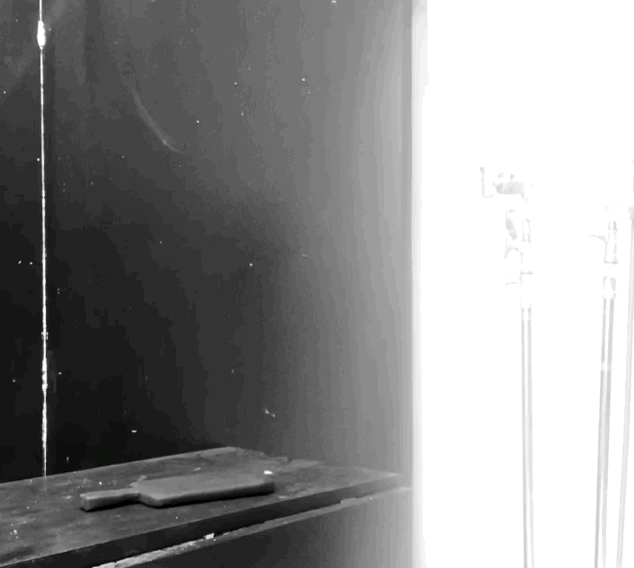 IMG_4419.gif
