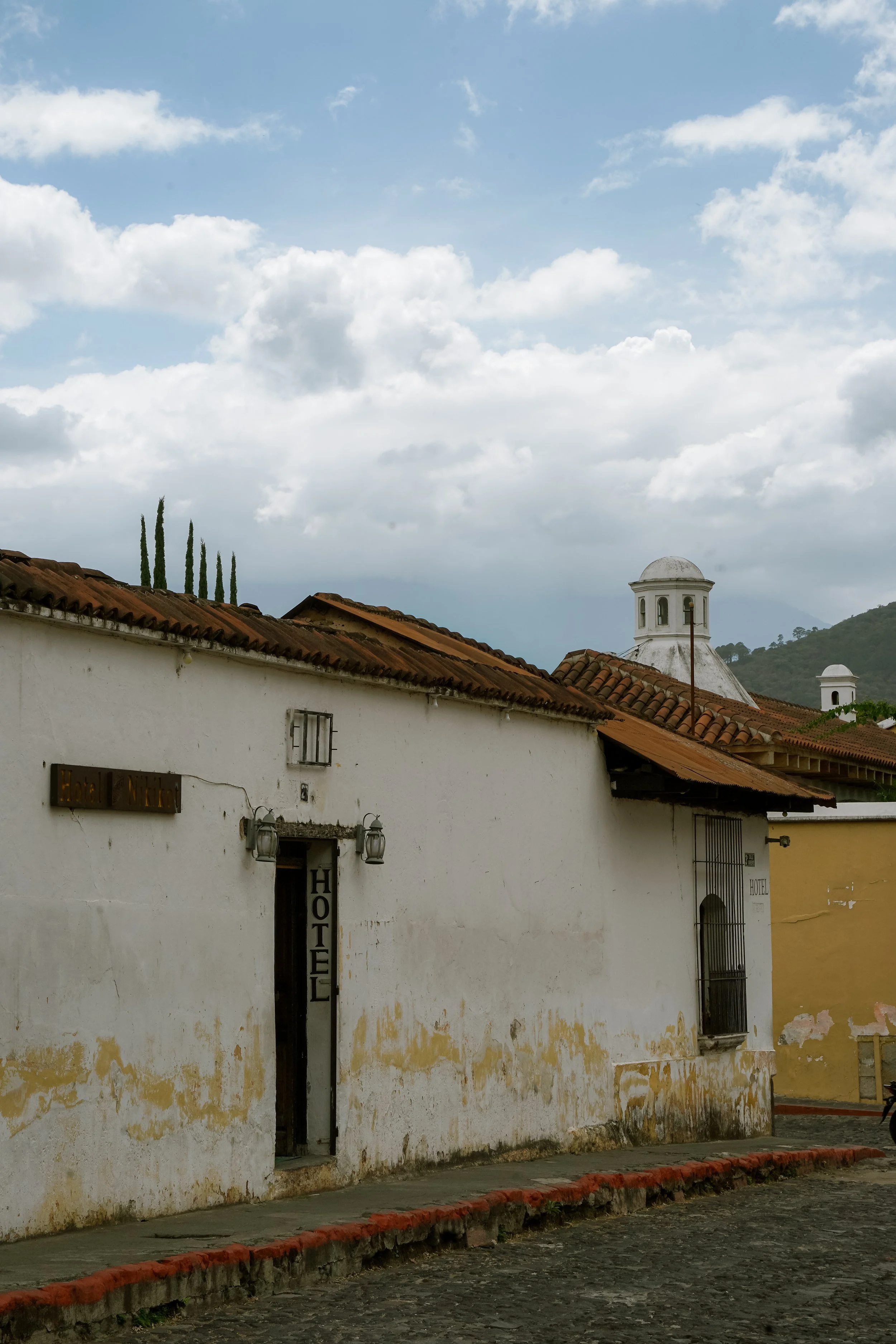 DSC03984-2.jpg