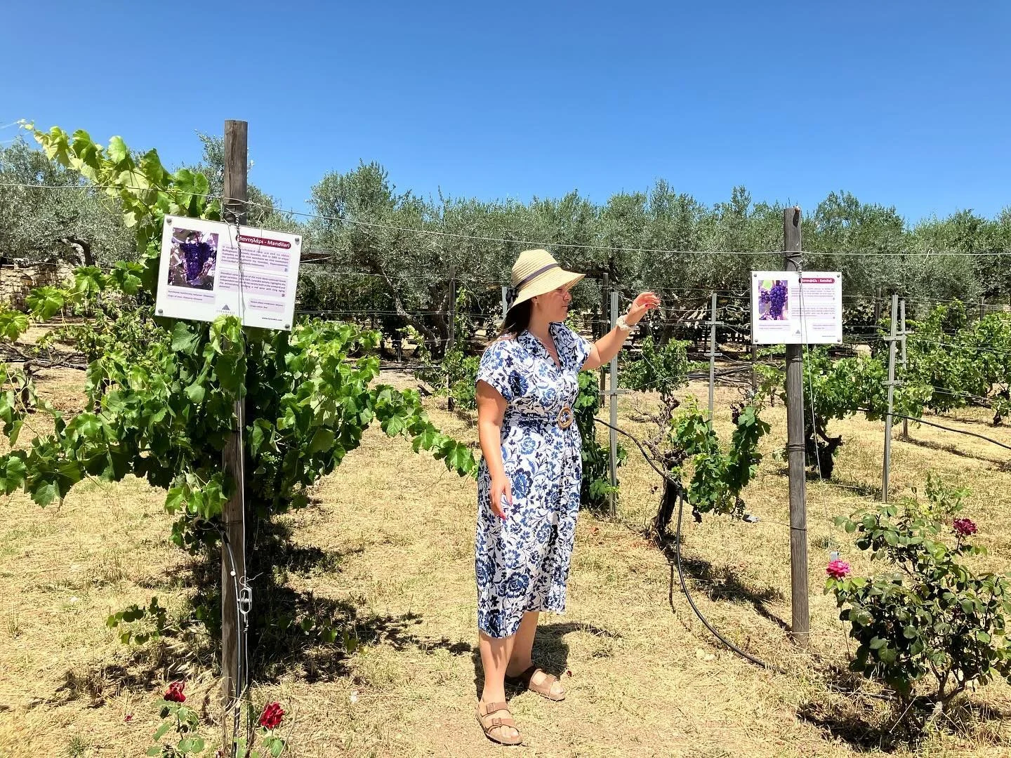 Lyrarakis Estate @lyrarakiswines