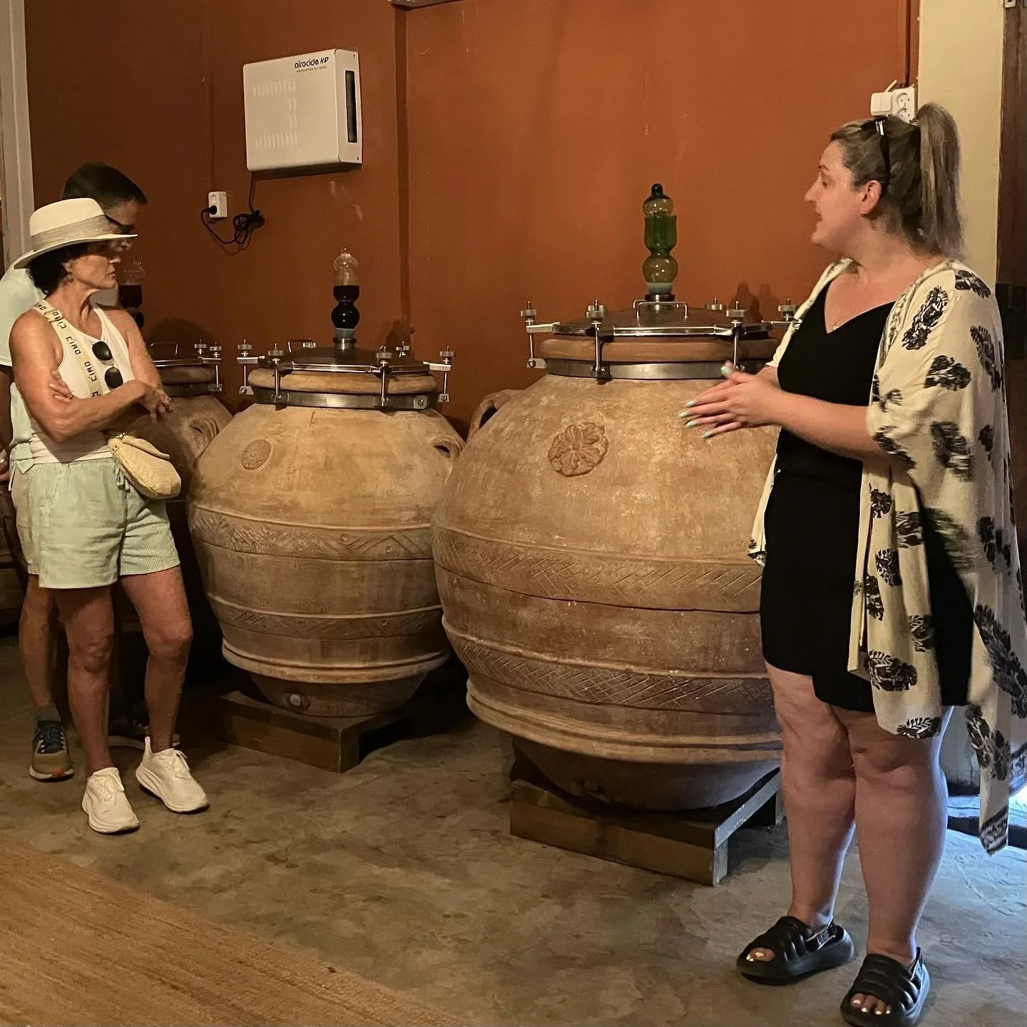 Tour and tasting @ktima_palivou