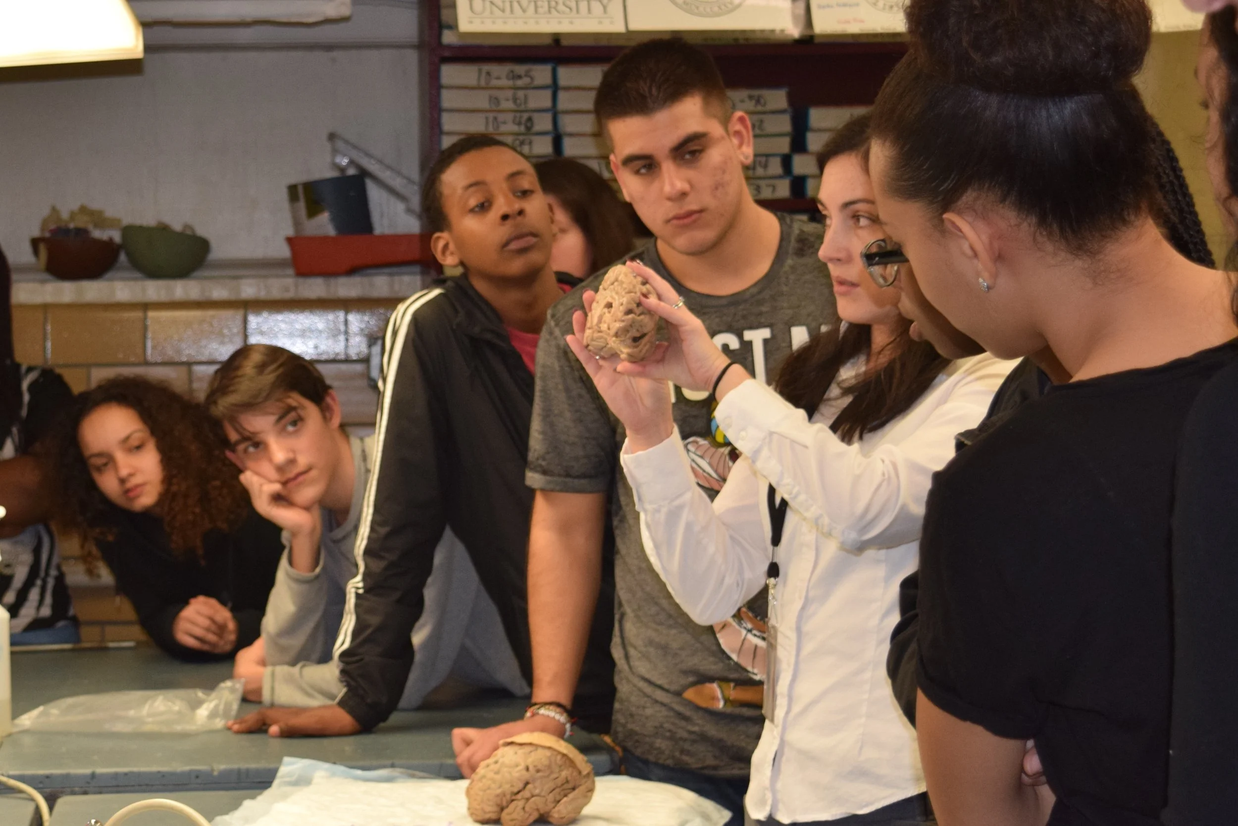 2017 - Shea HS 1.JPG