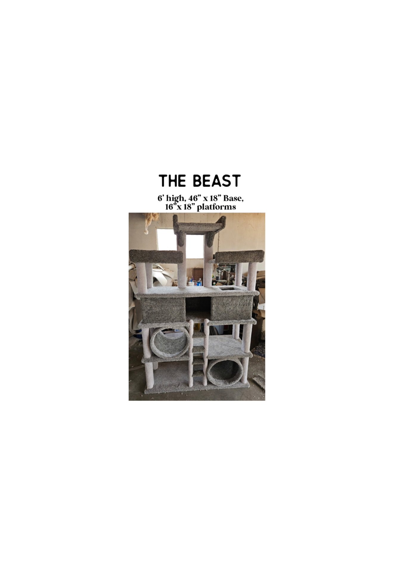 The Beast