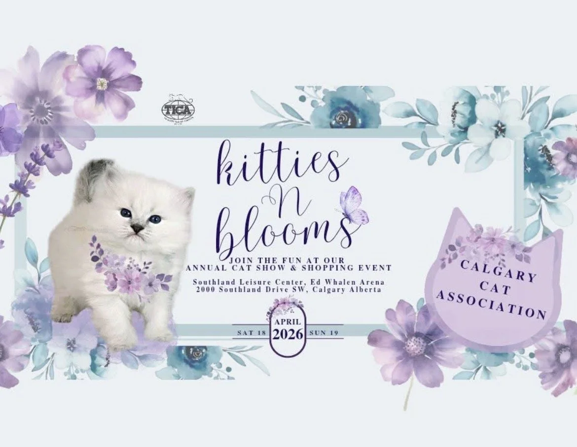 Calgary Cat Show -  'Kitties 'n' Blooms" 