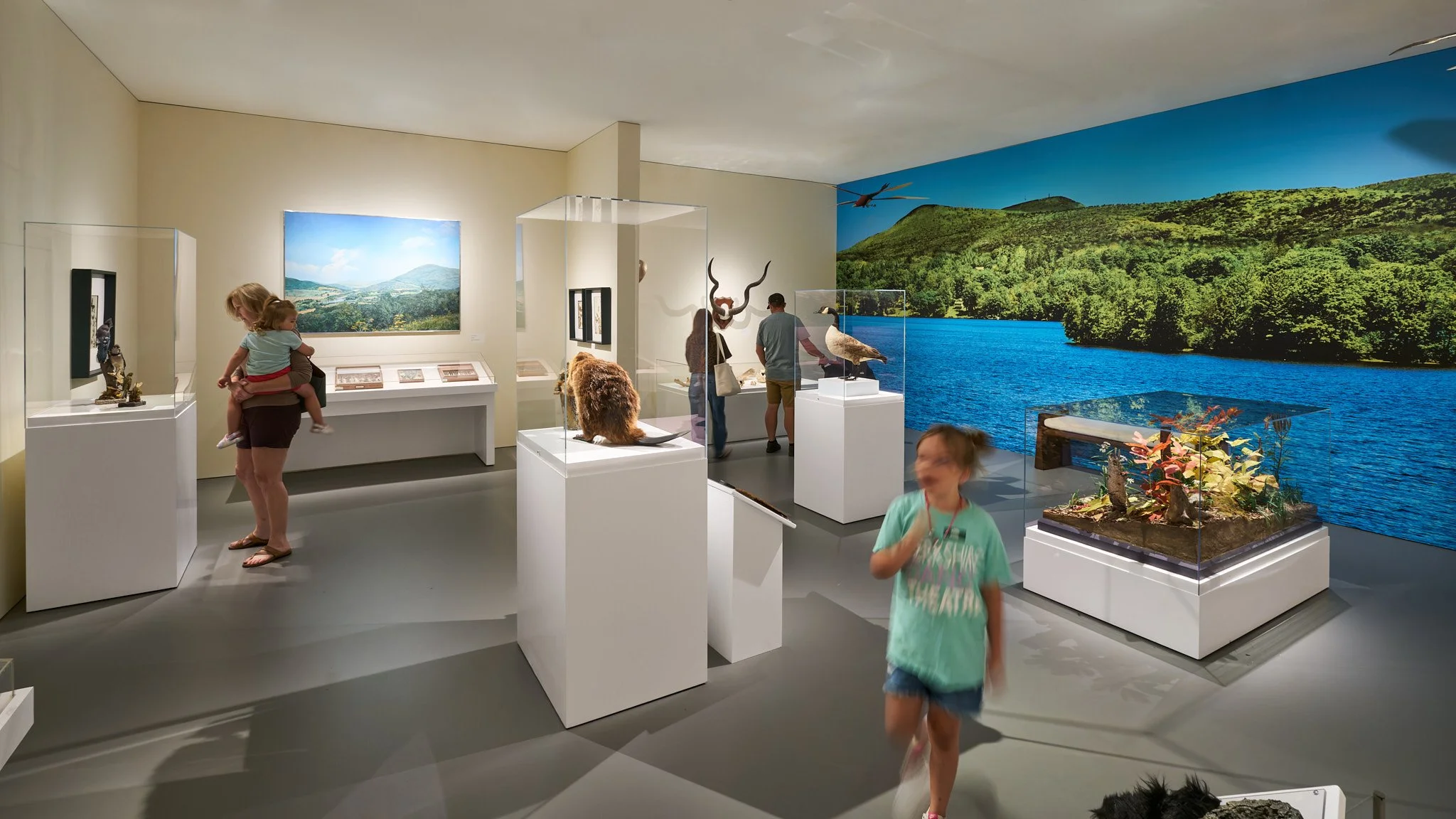260821_StudioHAU_BerkshireMuseum_SCS00224_F_samcornwallstudio.com_2048px.jpg