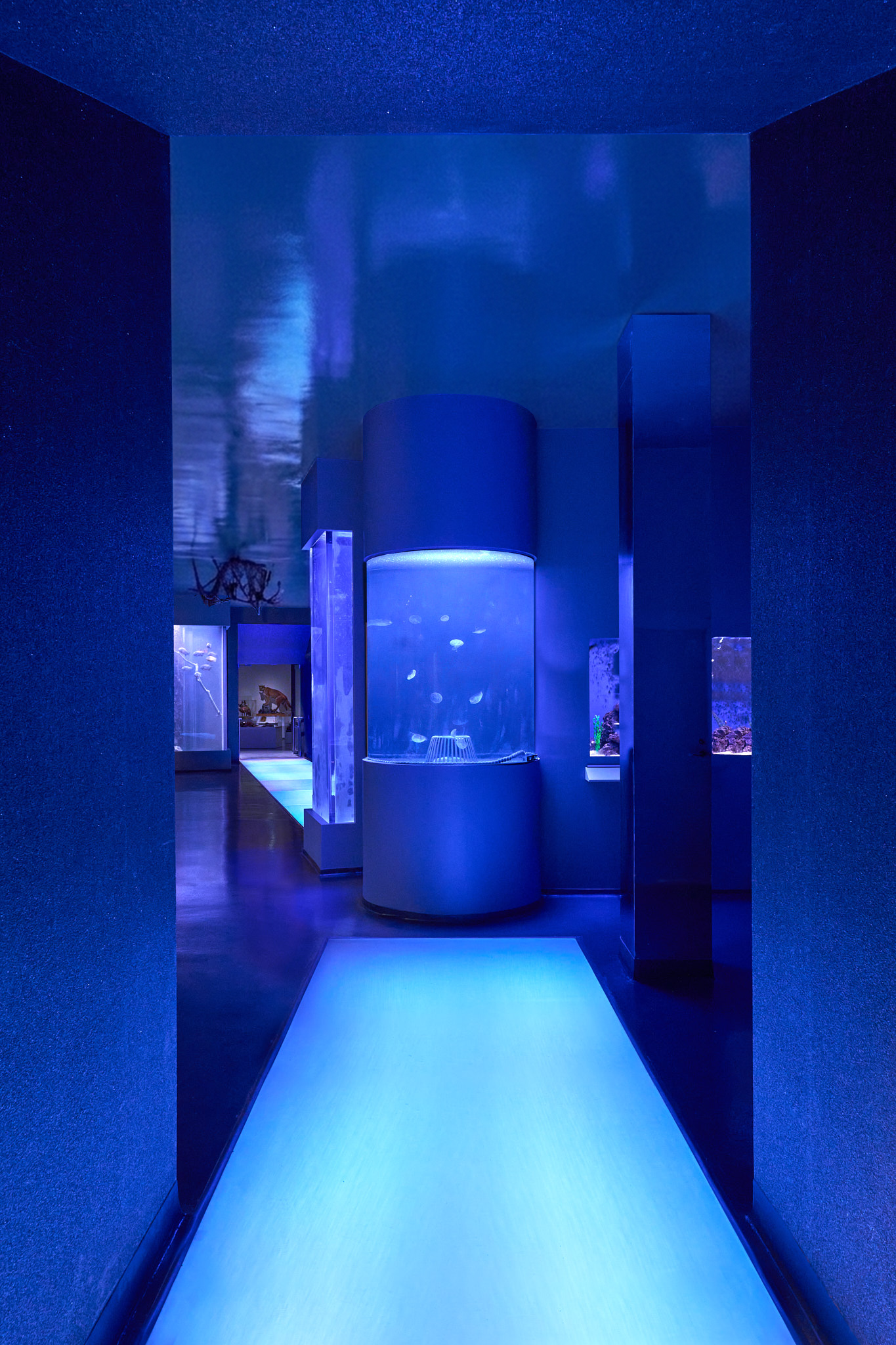 2026 0805 Berkshire Aquarium Ceiling Edit 4.png