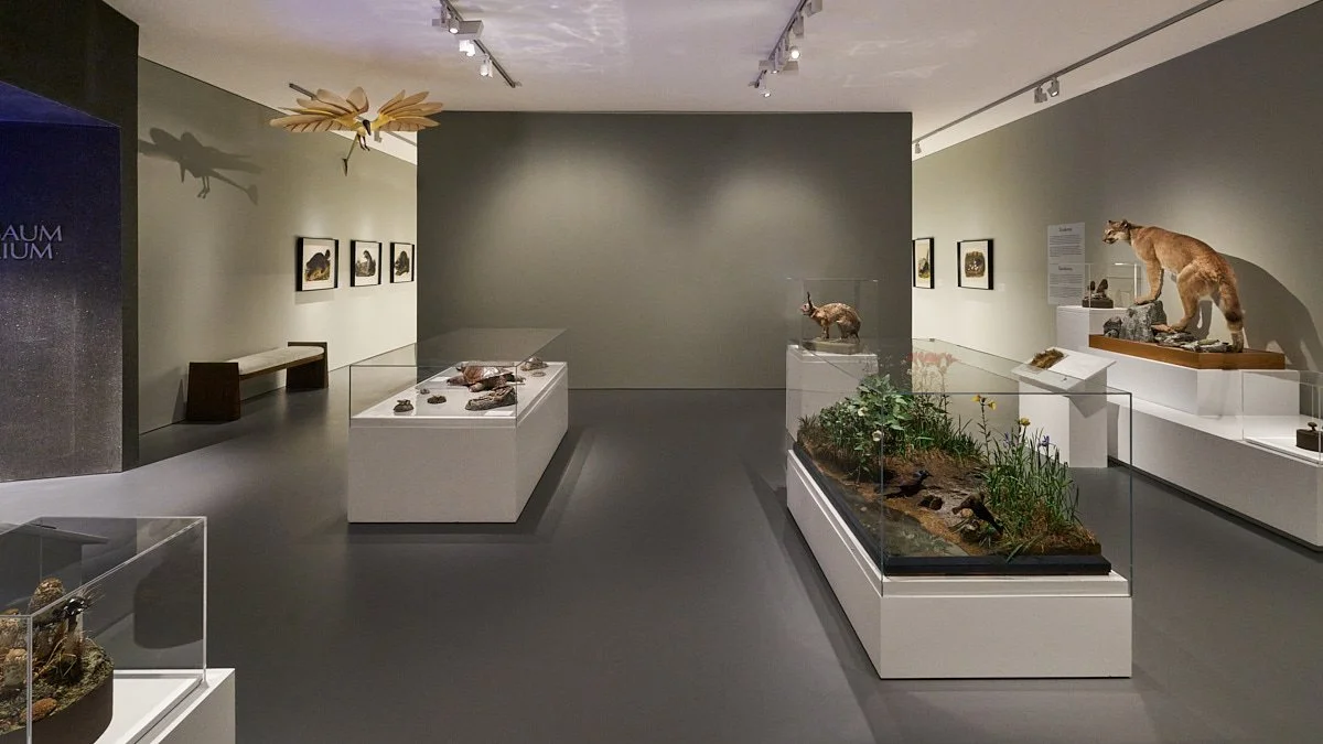 260724_StudioHAU_BerkshireMuseum_ImmInNature_3667_F_samcornwallstudio.com_1200px.jpg