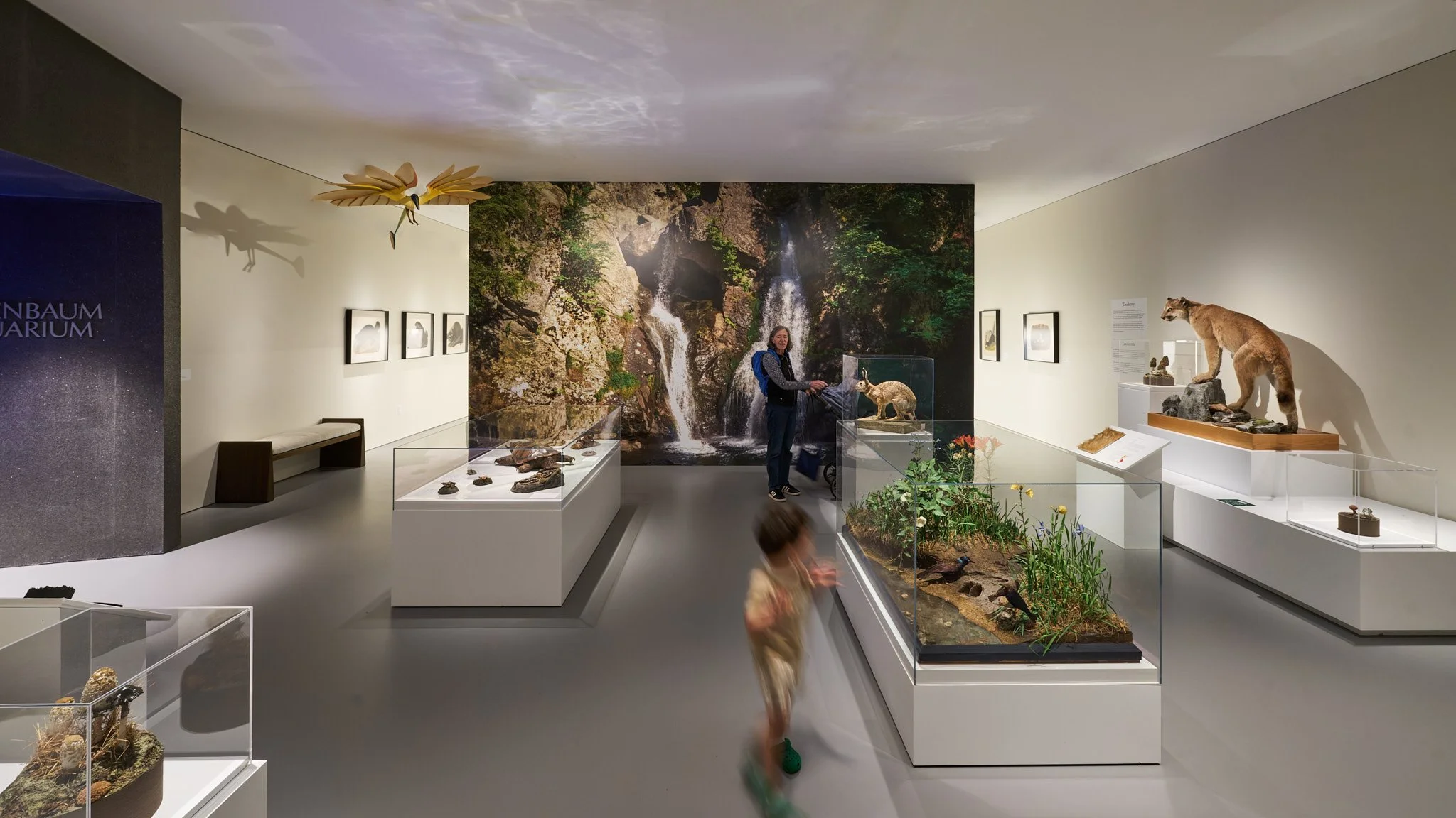 260821_StudioHAU_BerkshireMuseum_SCS00213_F_samcornwallstudio.com_2048px.jpg