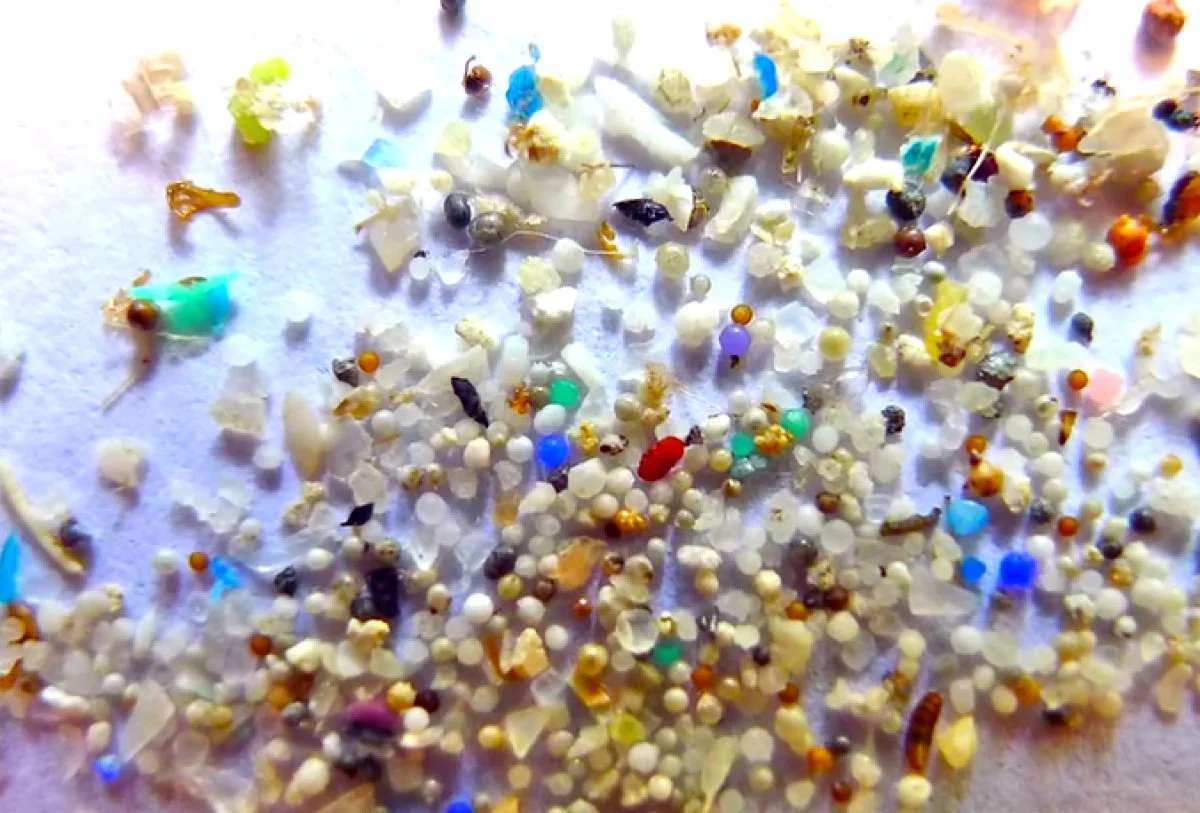 Virginia Plastic Pollution Prevention Network Meeting