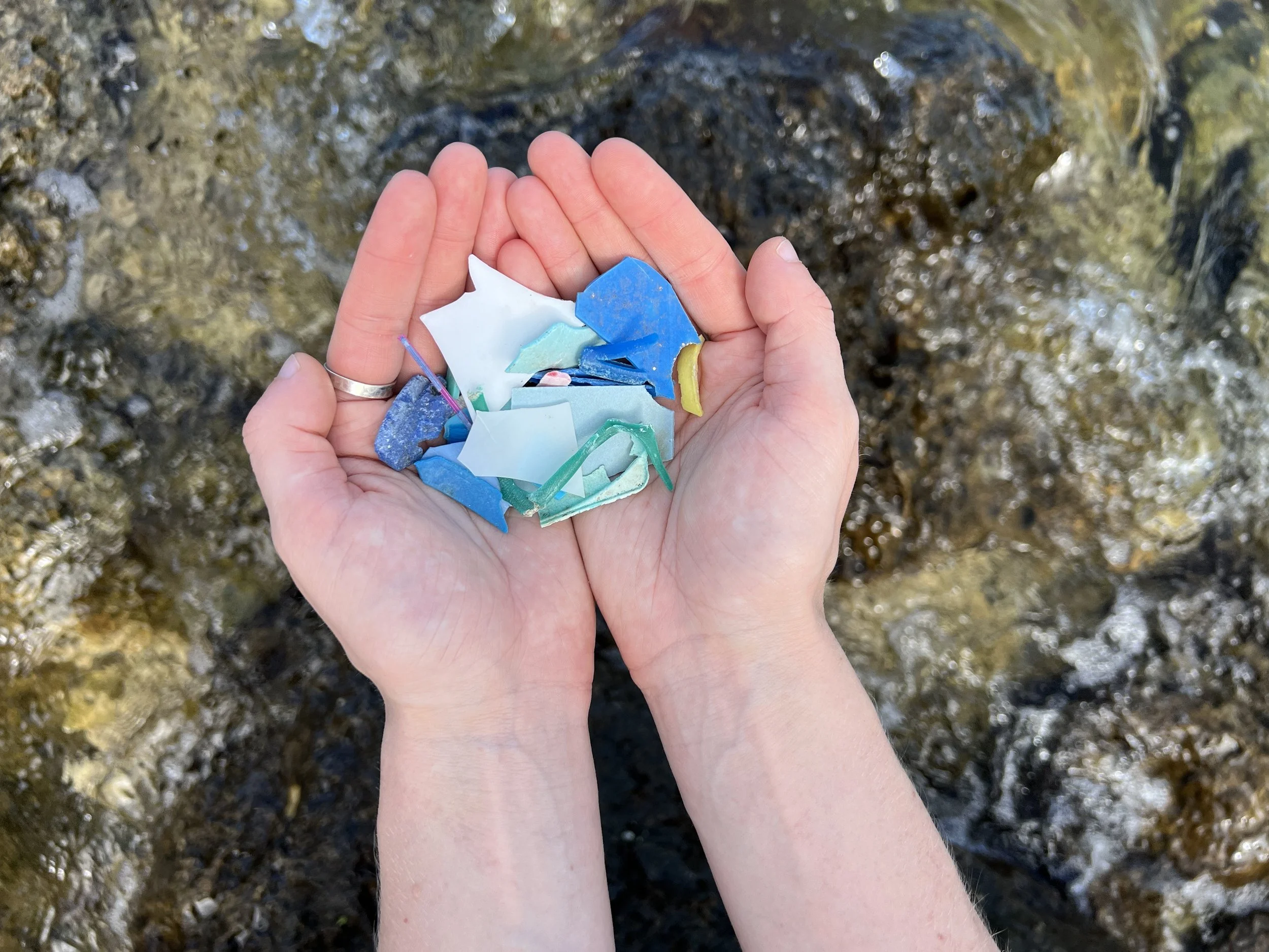 Biscayne National Park Cleanup and Microplastics Survey