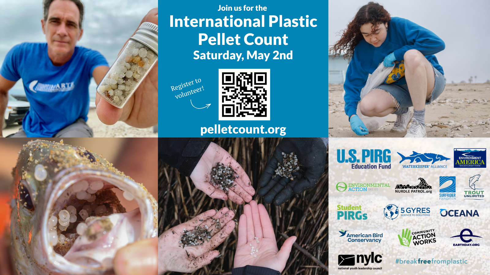 International Plastic Pellet Count