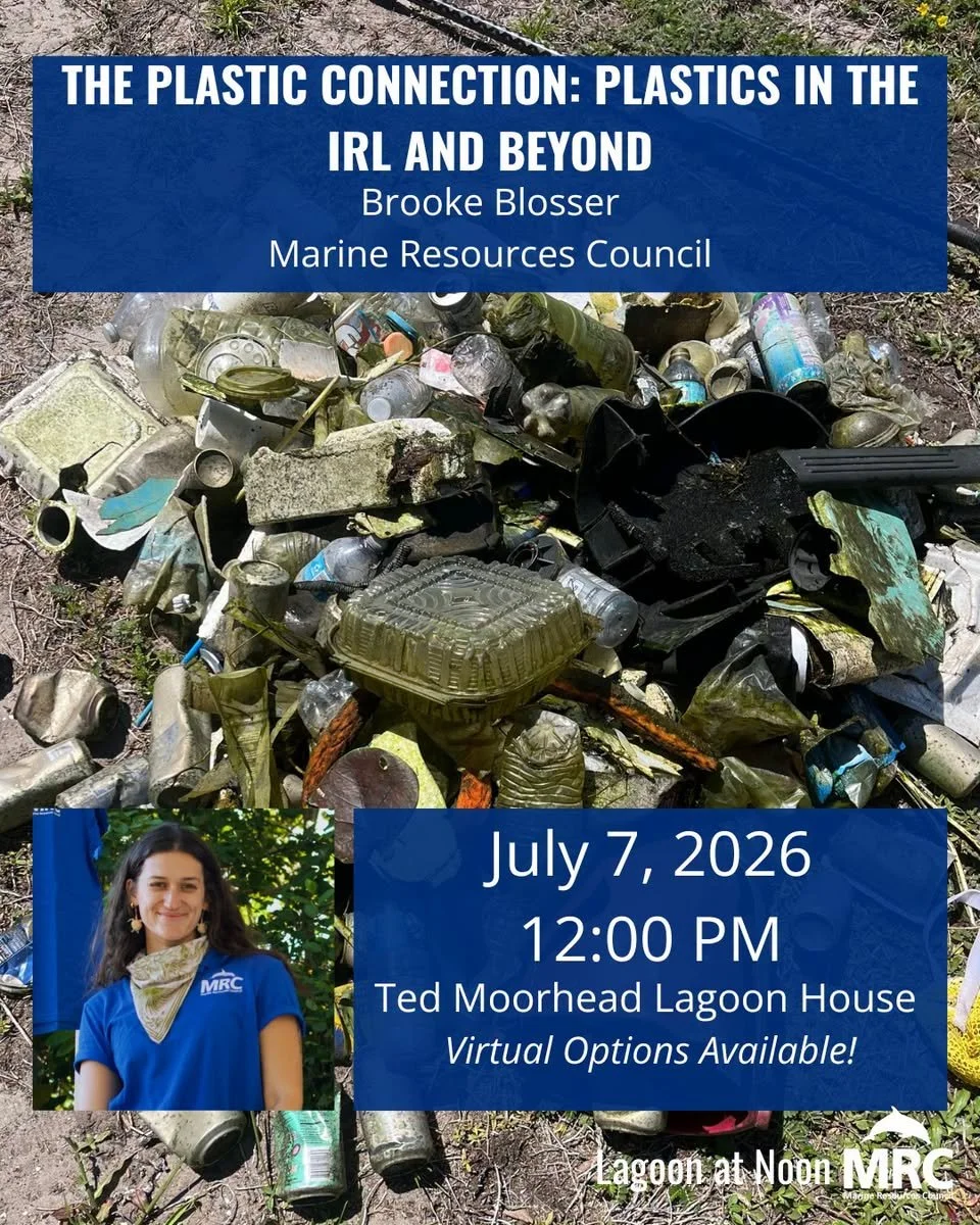 The Plastic Connection: Plastics in the IRL and Beyond