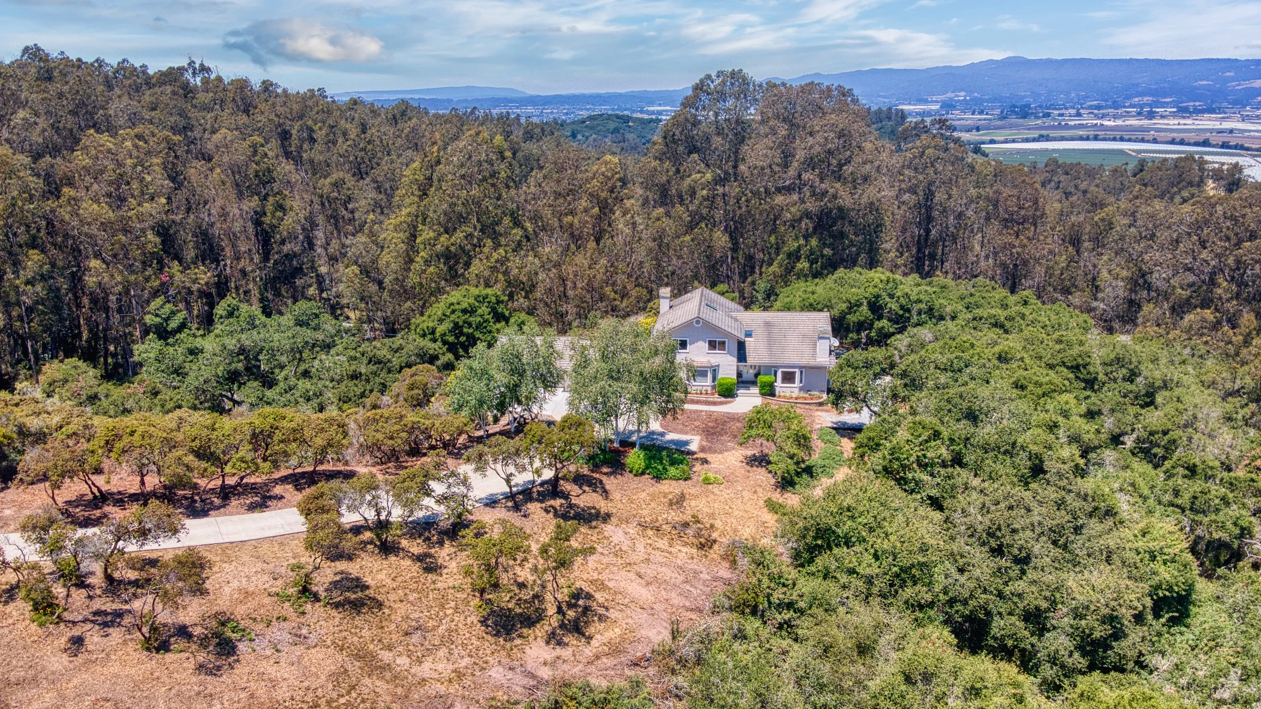 A house surrounded by trees and greenery on a hillside with a mountain range in the background in 1650 Andreas Estates, Royal Oaks.