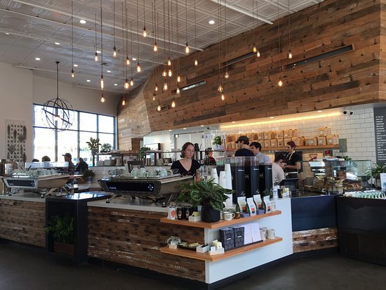 Top 5 Best Coffee Shops in Santa Cruz California