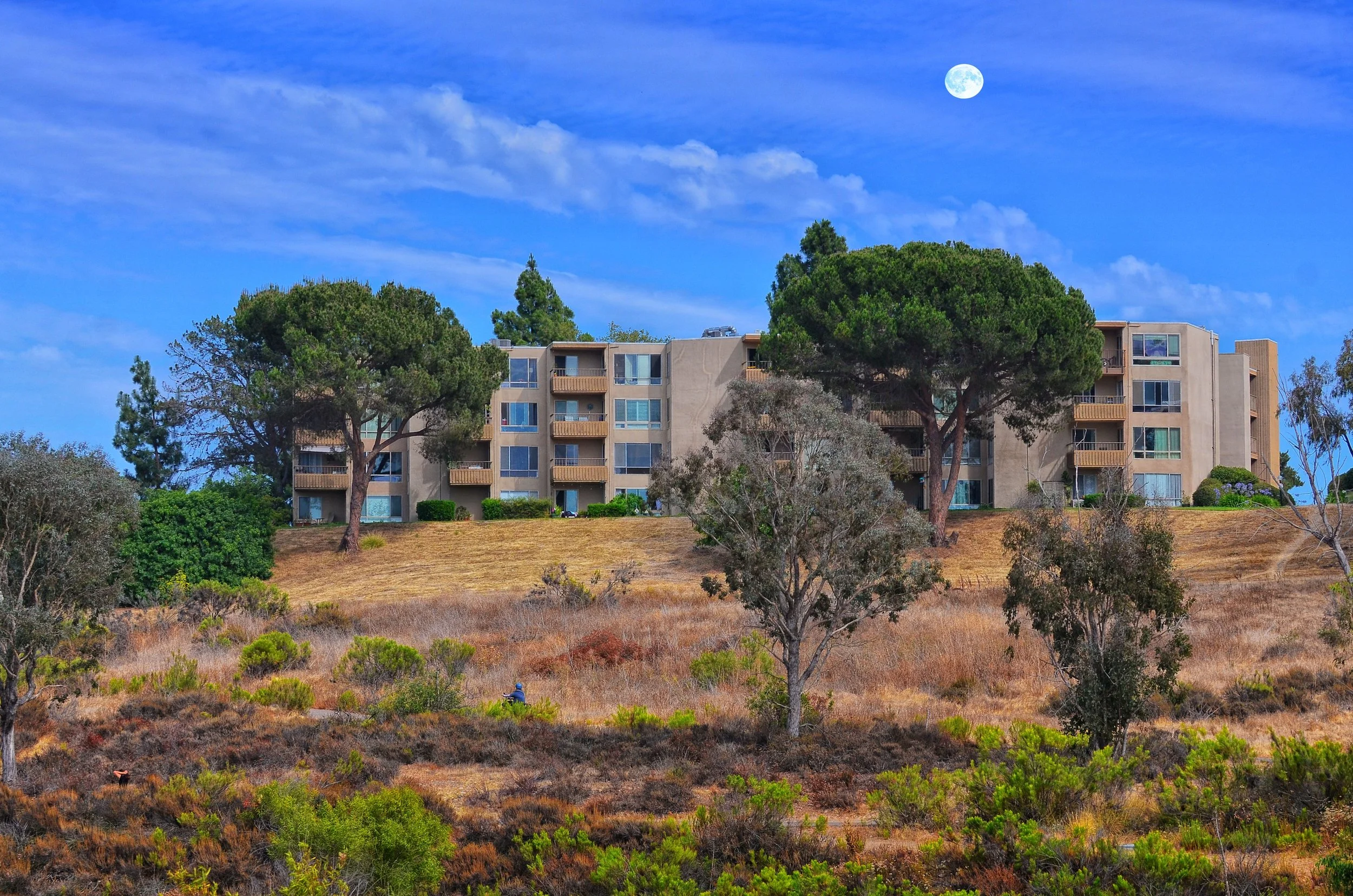 Why Are HOA Fees So High for Santa Cruz Condos, and What Should Buyers Review?