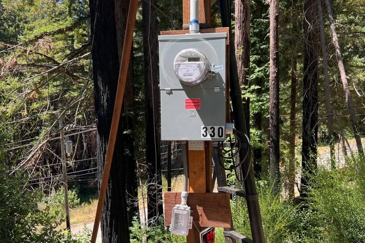 Electricity meter attached to a wooden utility pole in a wooded area.