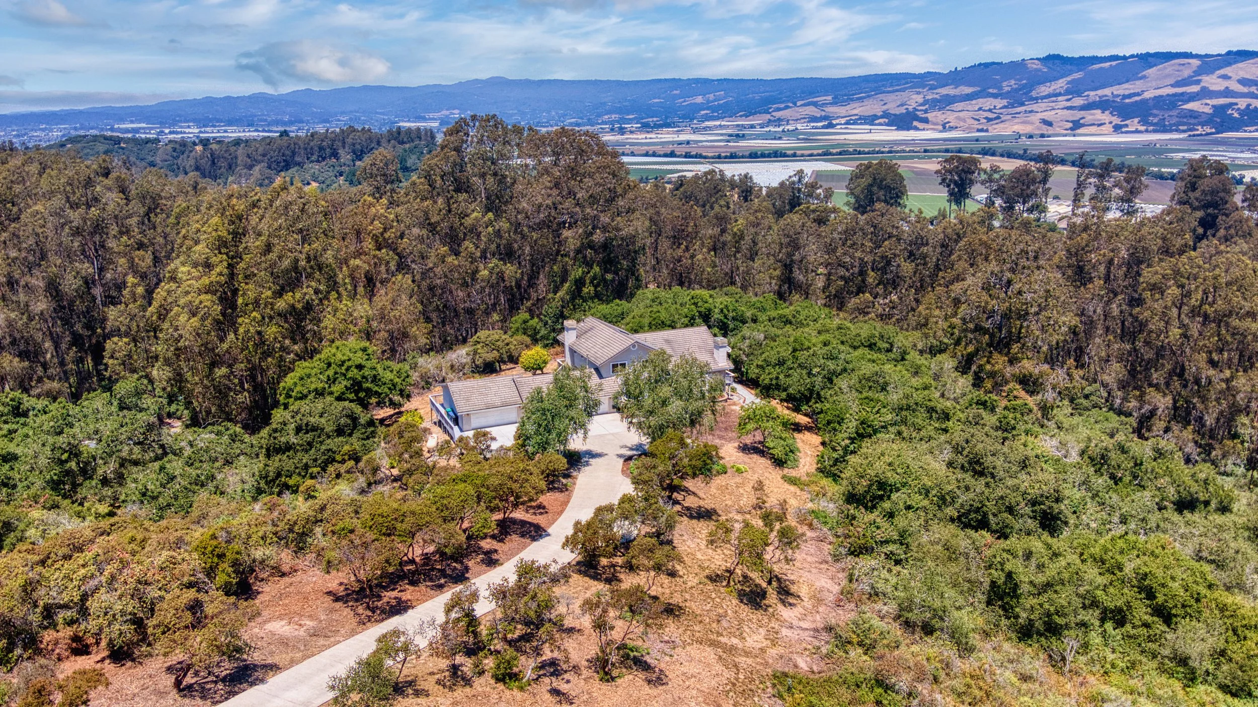A house surrounded by trees and greenery, with a winding driveway leading to the house in rural landscape with hills and farmland in the background 1650 Andreas Estates, Royal Oaks.