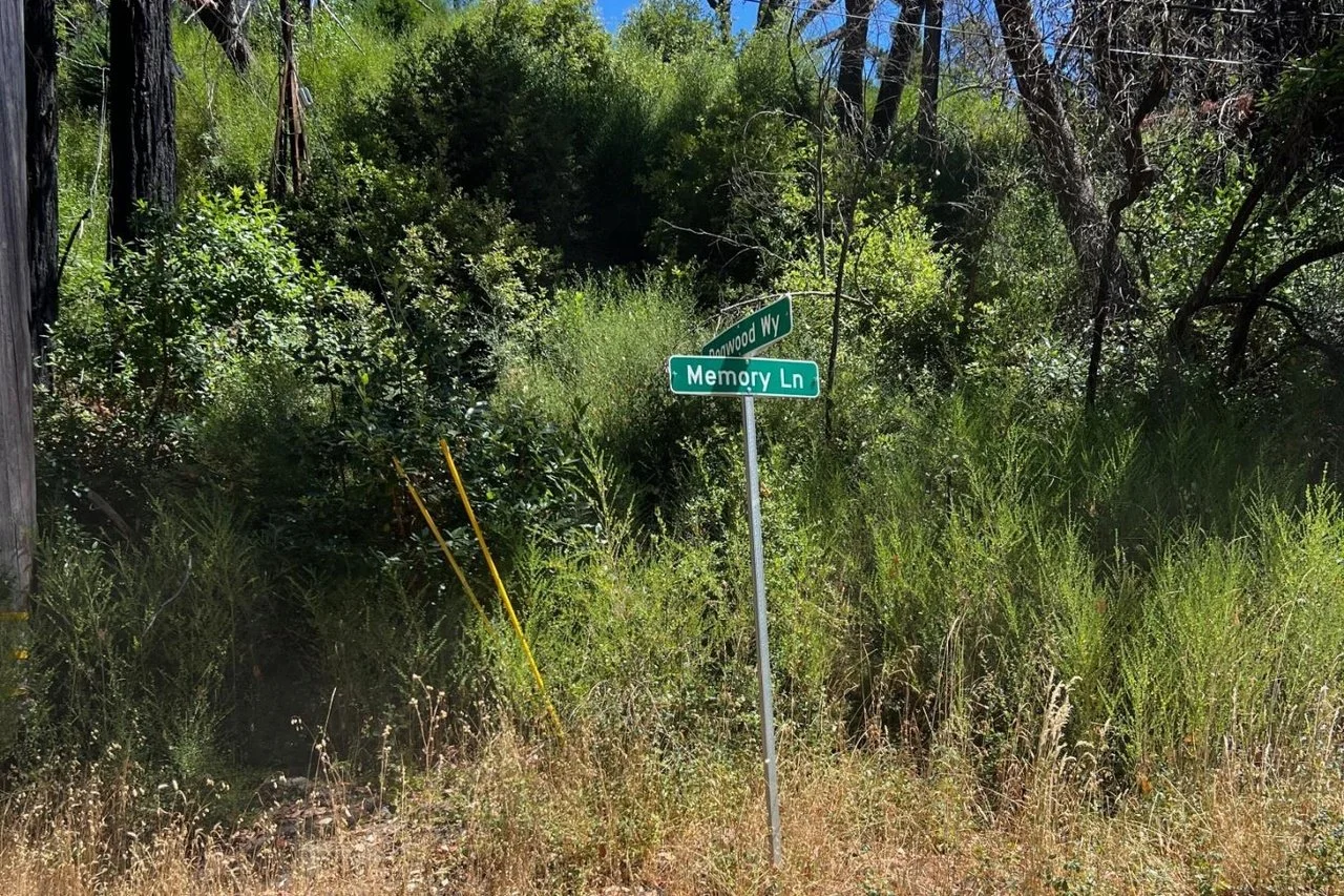 Street signs for Bonwood Way and Memory Lane at a corner in a grassy and wooded area.