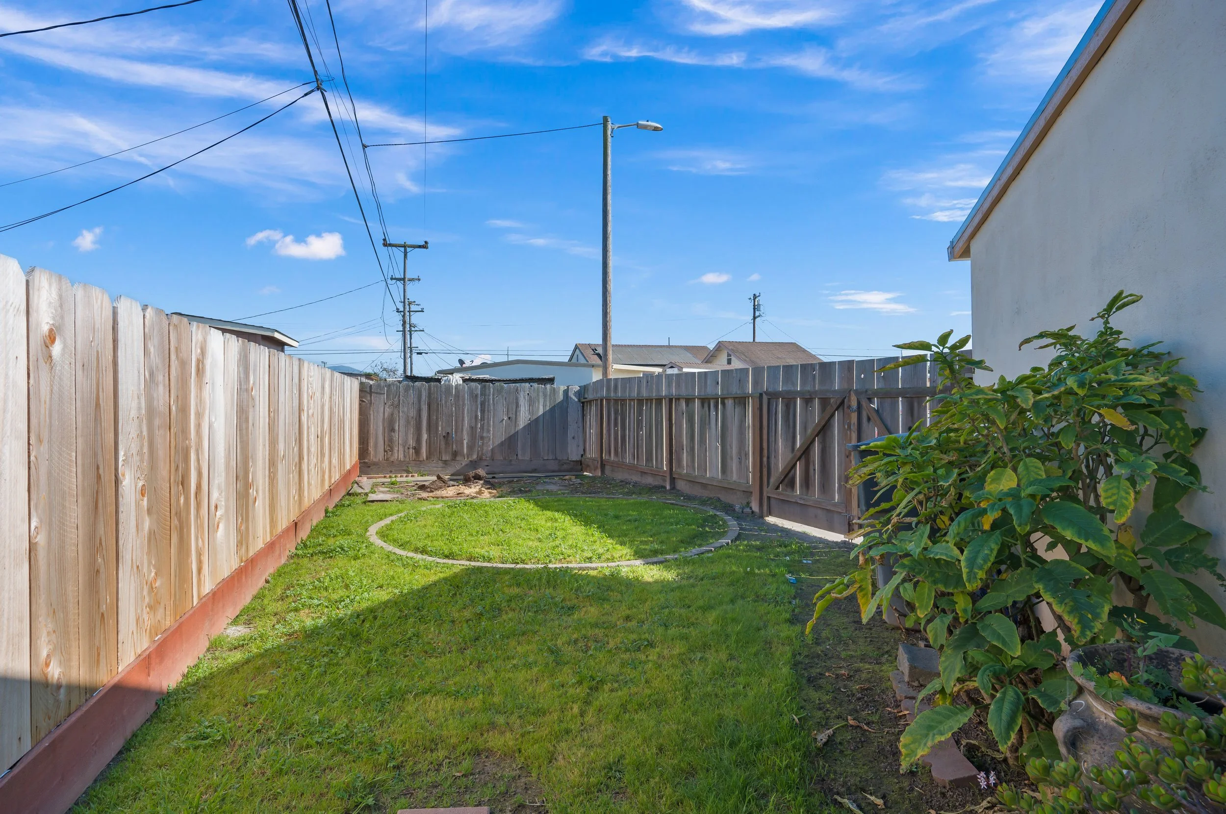 A backyard with a green lawn, a wooden fence on the left and back, a white wall on the right with a green plant, and blue sky with some clouds overhead.