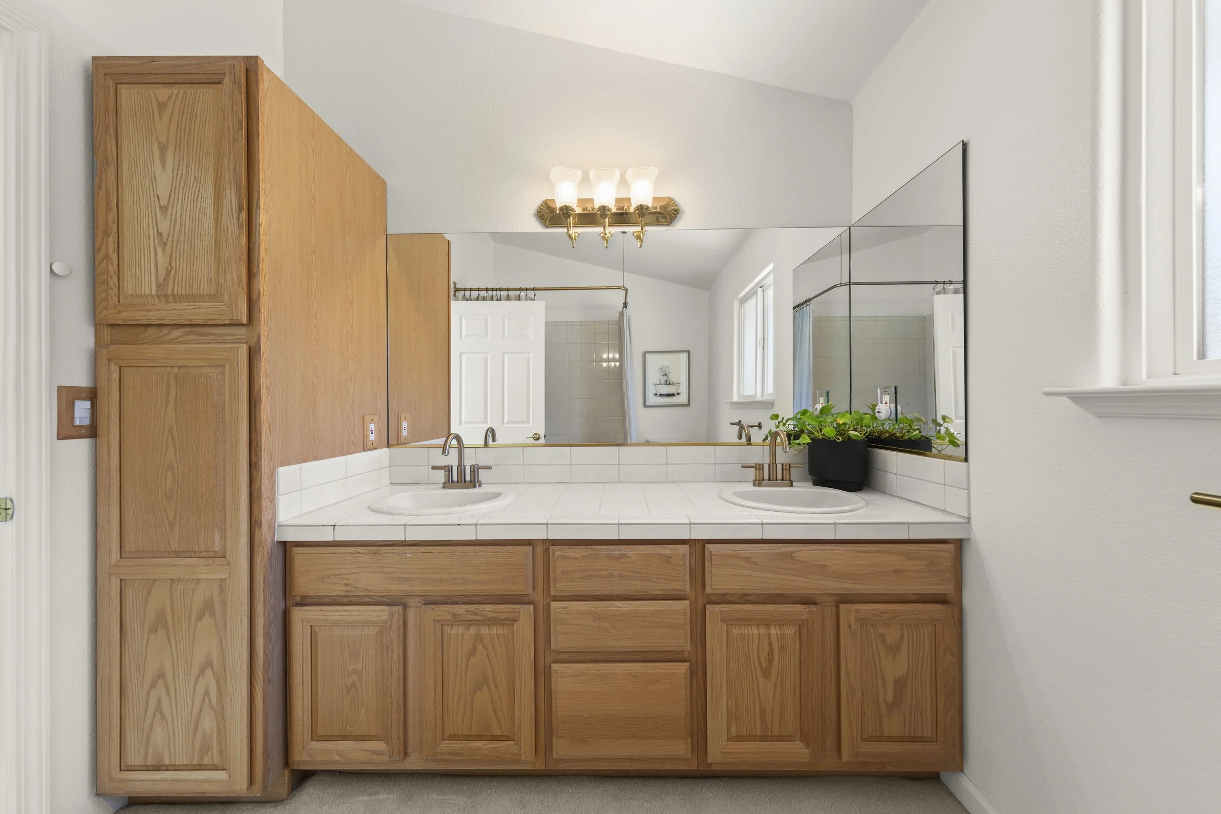 Bathroom vanity with two sinks, large mirror, wooden cabinets, potted plant, window, ceiling light fixture, and shower area in background