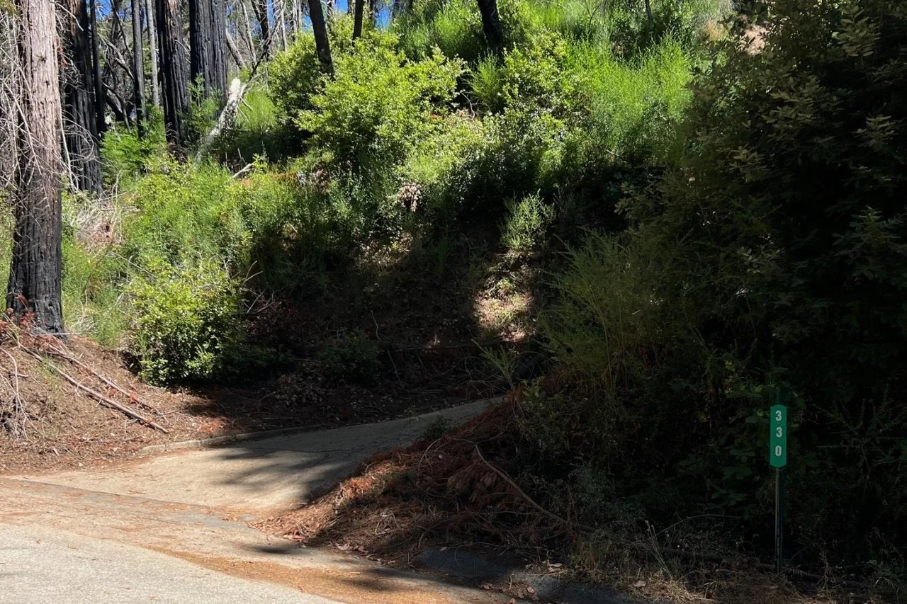 A forested roadside with a narrow dirt shoulder and a blue street sign marked '330'. Tall trees and dense green foliage fill the background.