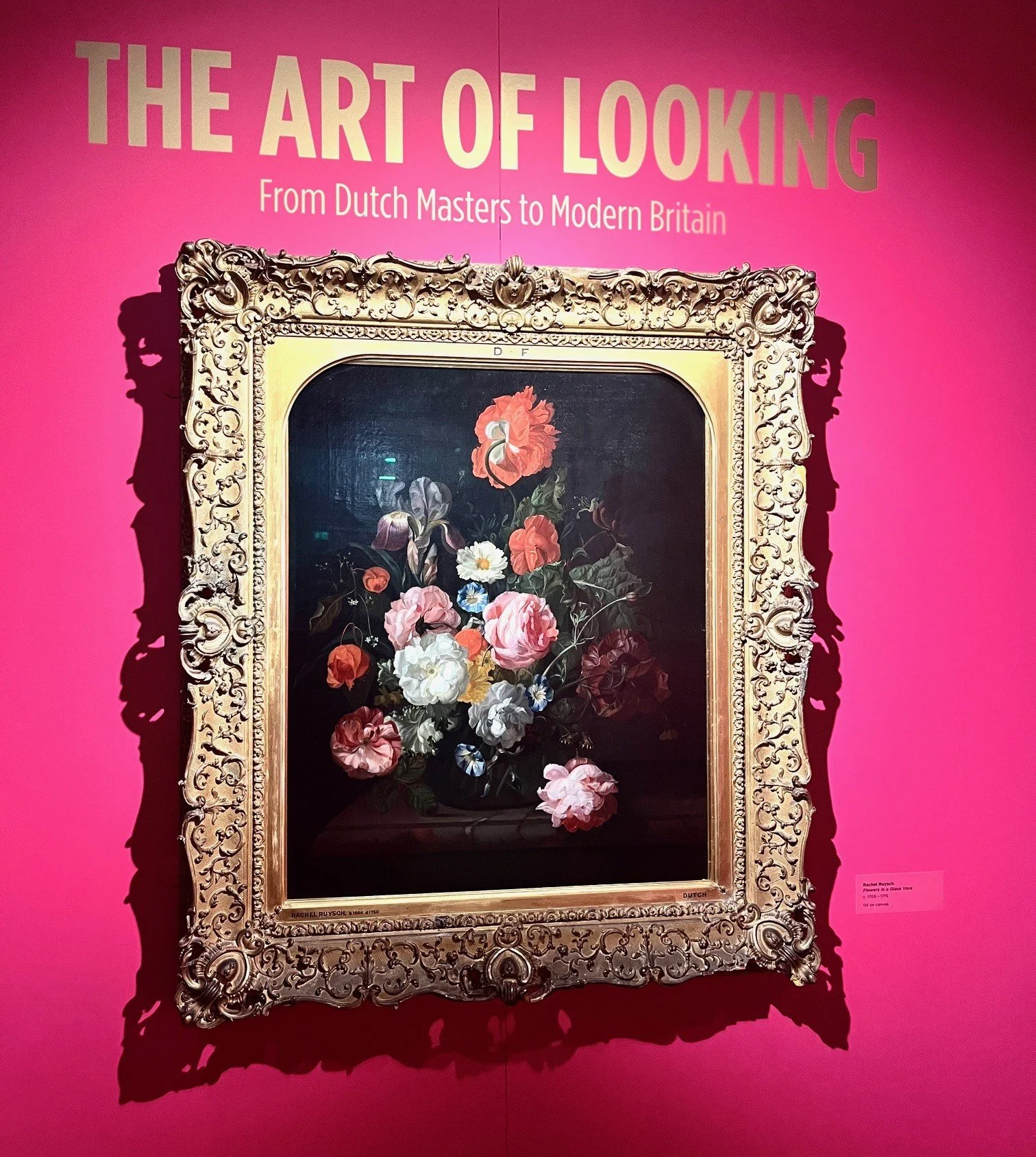 The Art of Looking.jpg