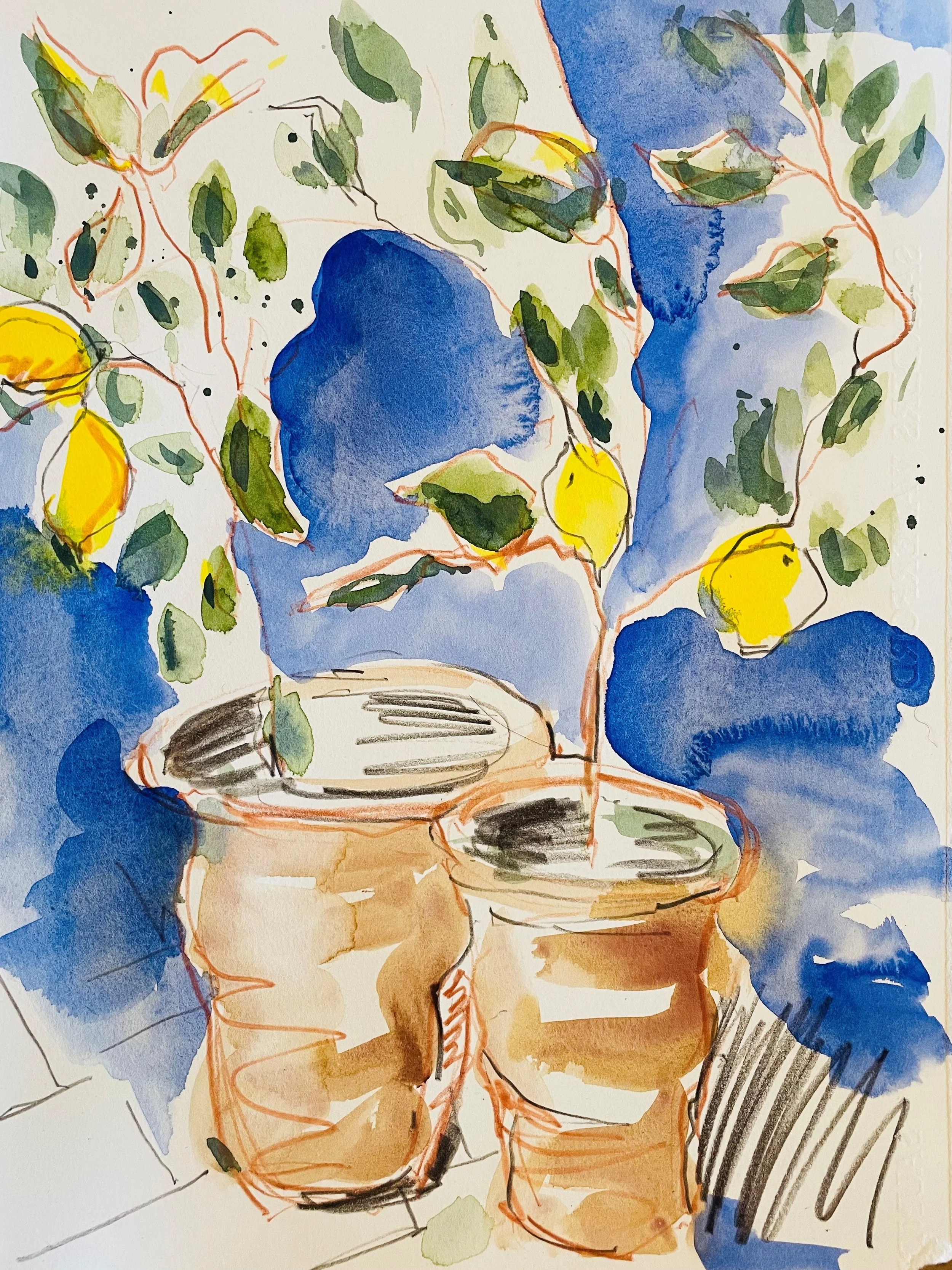 Kate's Lemon Tree by Sarah Middleton.jpg