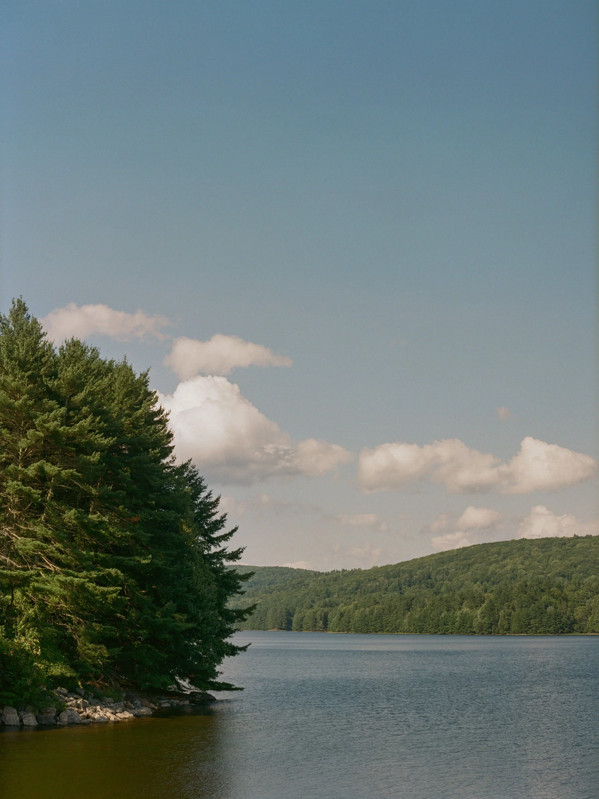 CC-0-2.jpg