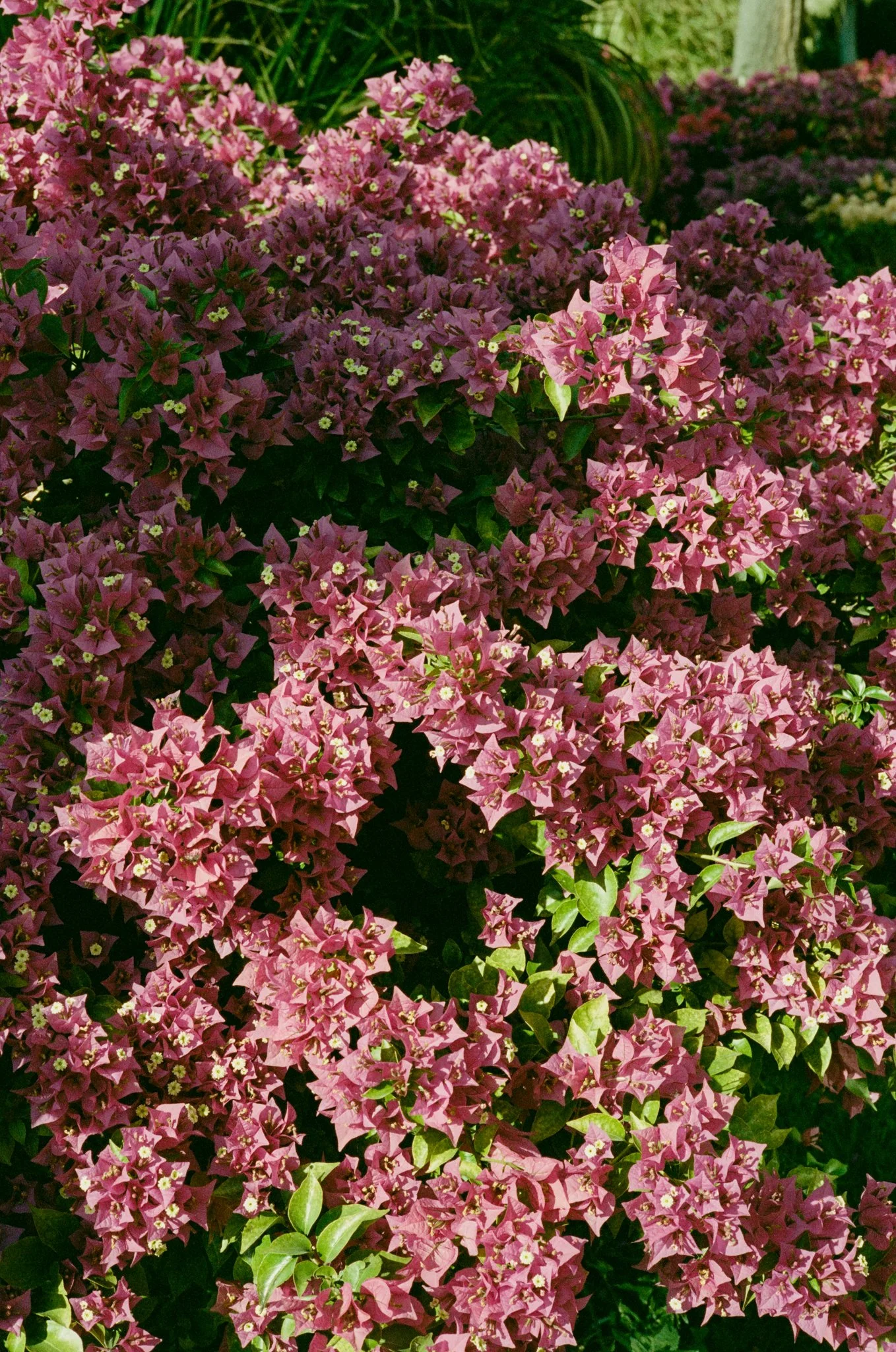 AB-Film-13.jpg