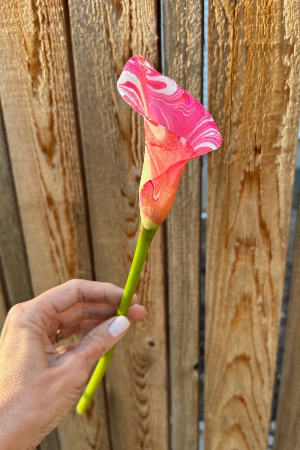 painted-petals-lily-peppermint.jpeg