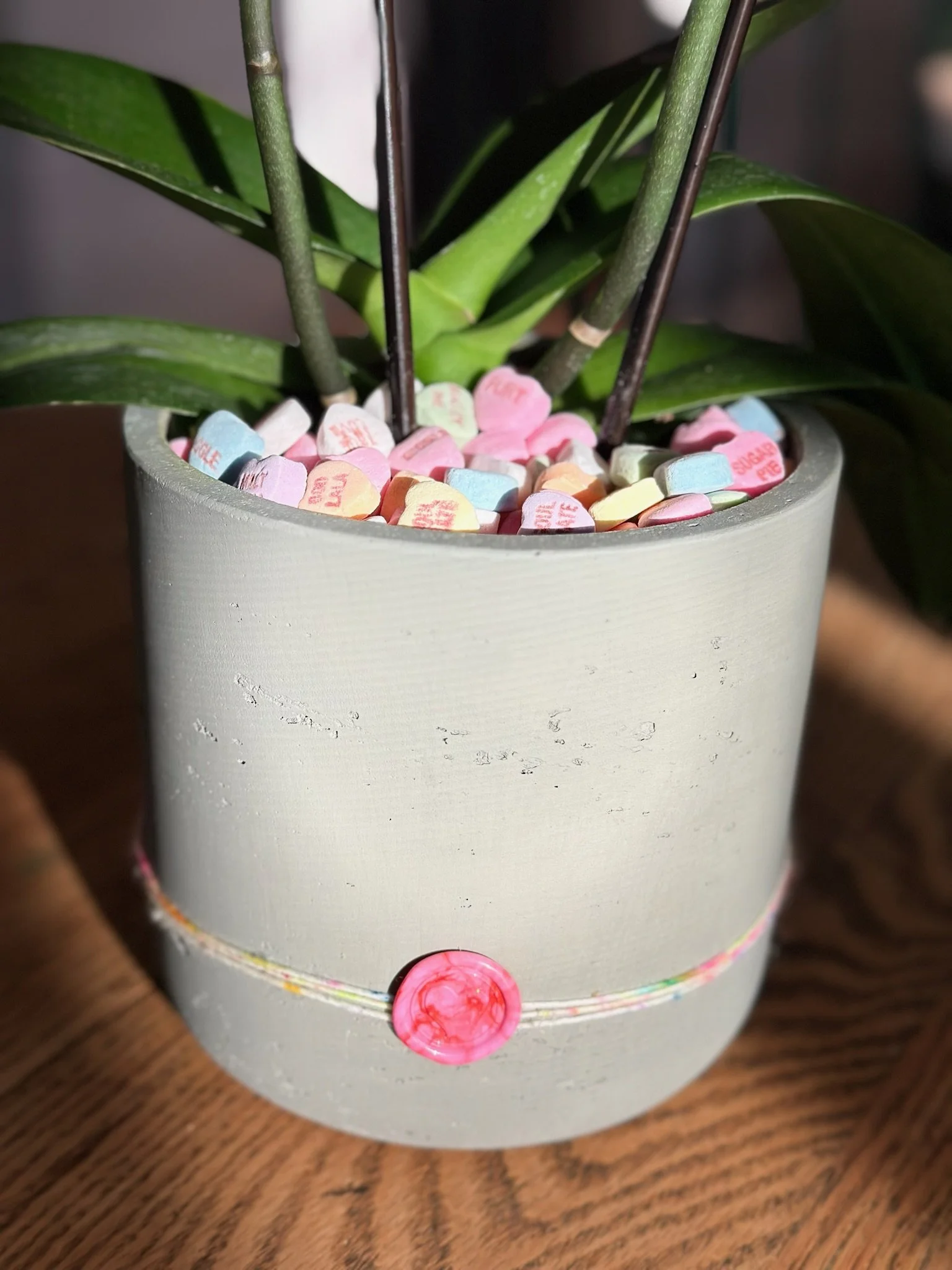 Be Mine Valentine's Orchid Plant comes with Candy Hearts