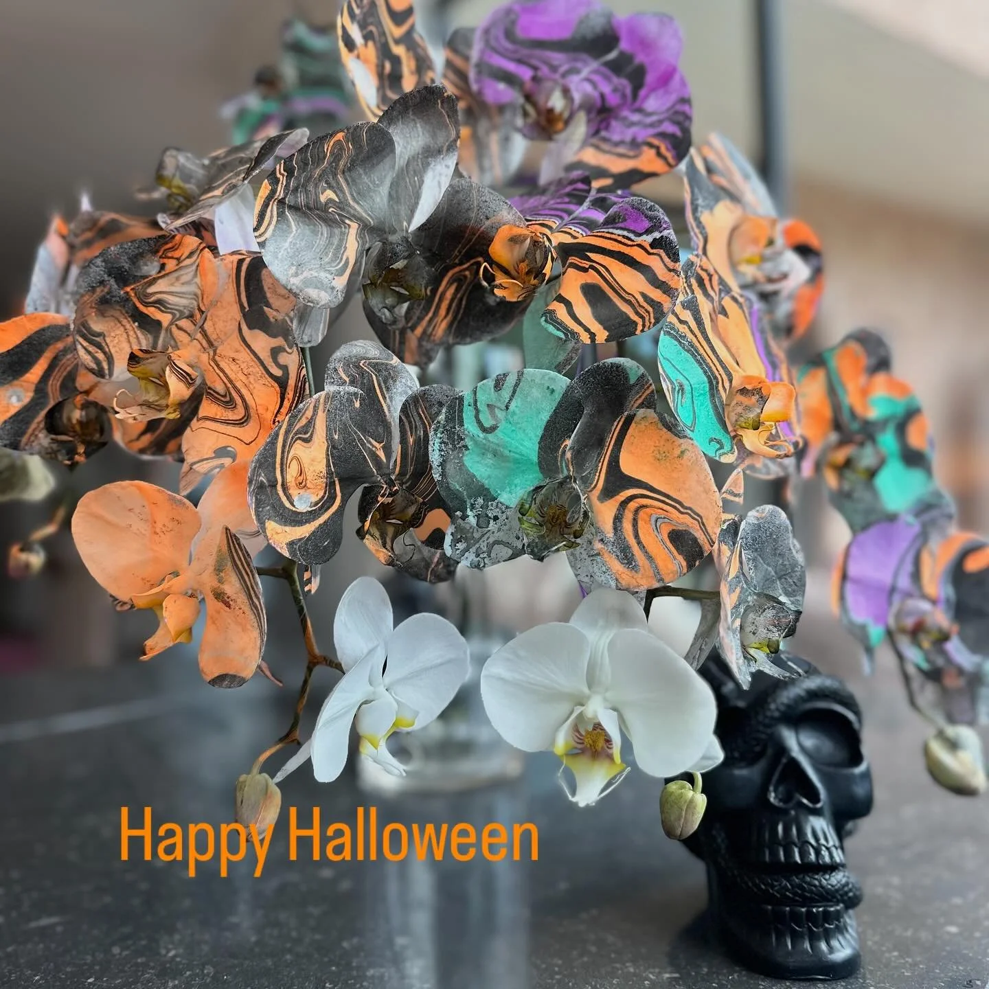 Trick or treat orchids 💀