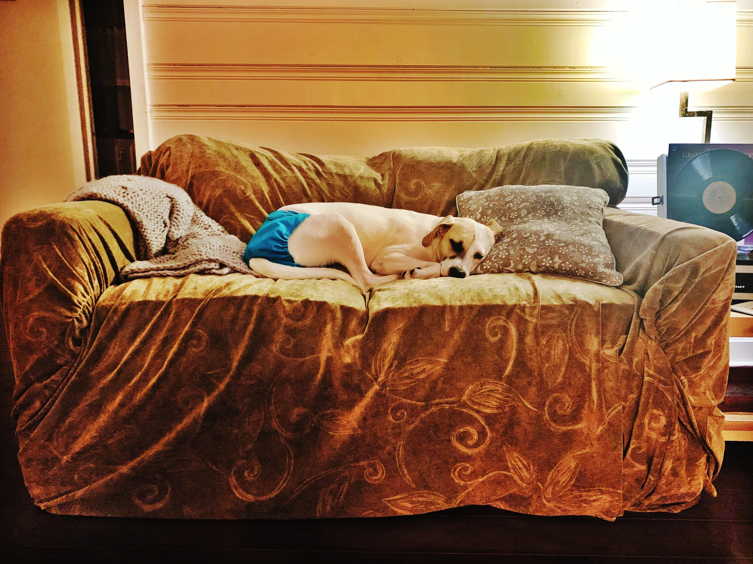 AfterlightImage 5.jpg