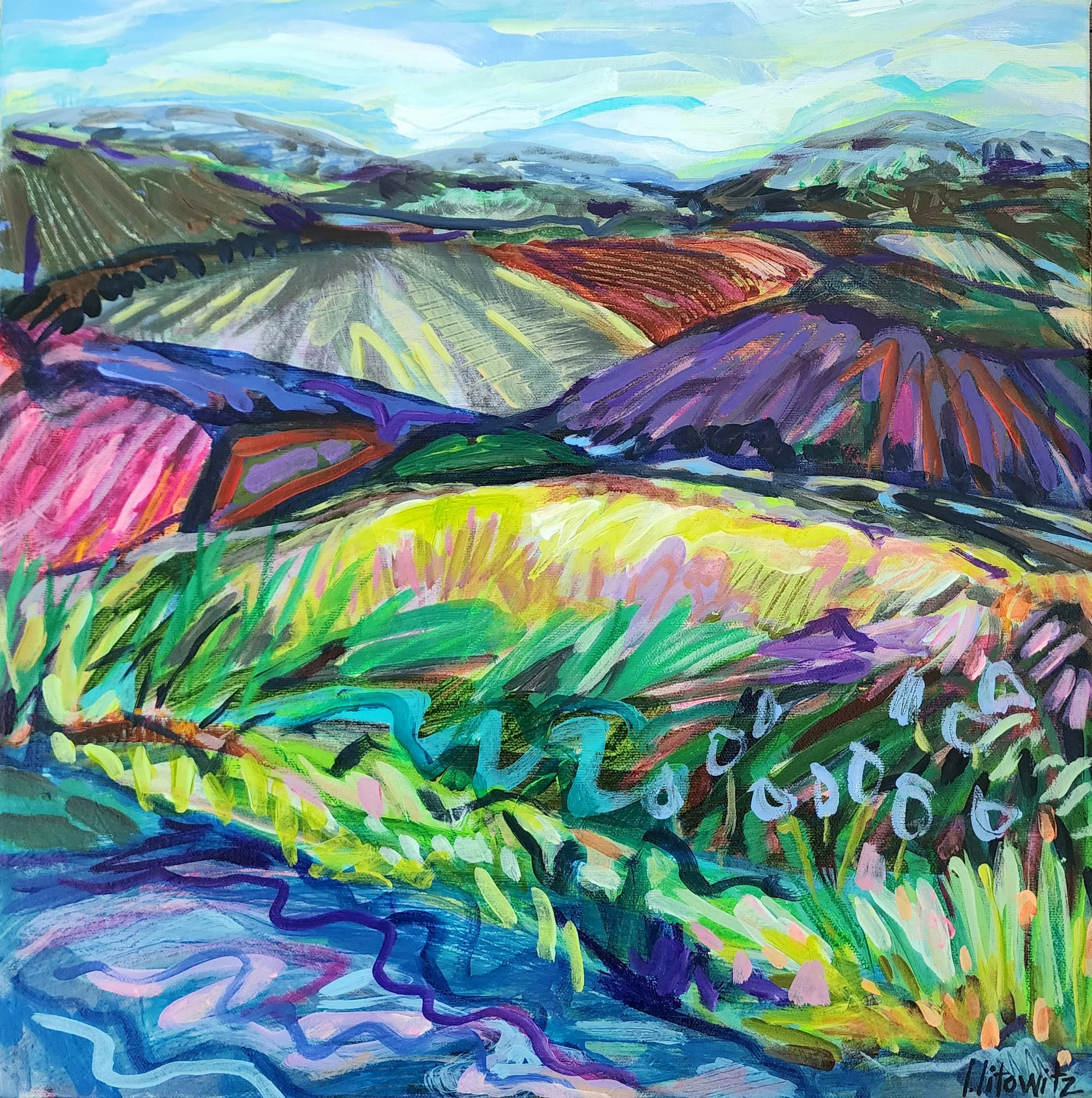 Lisa Litowitz Hills and Valleys Acrylic on Canvas 16x16.jpg