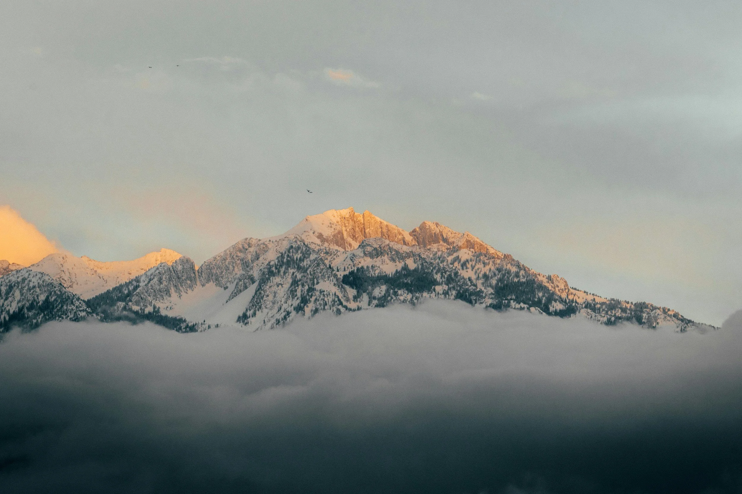 Snow-covered mountain peaks illuminated by sunlight above a layer of clouds.