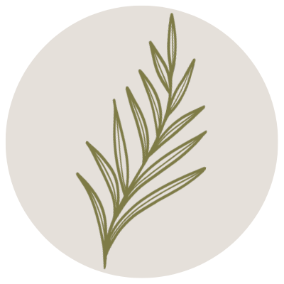 Illustration of a sprig of rosemary plant with green needle-like leaves on a light background.