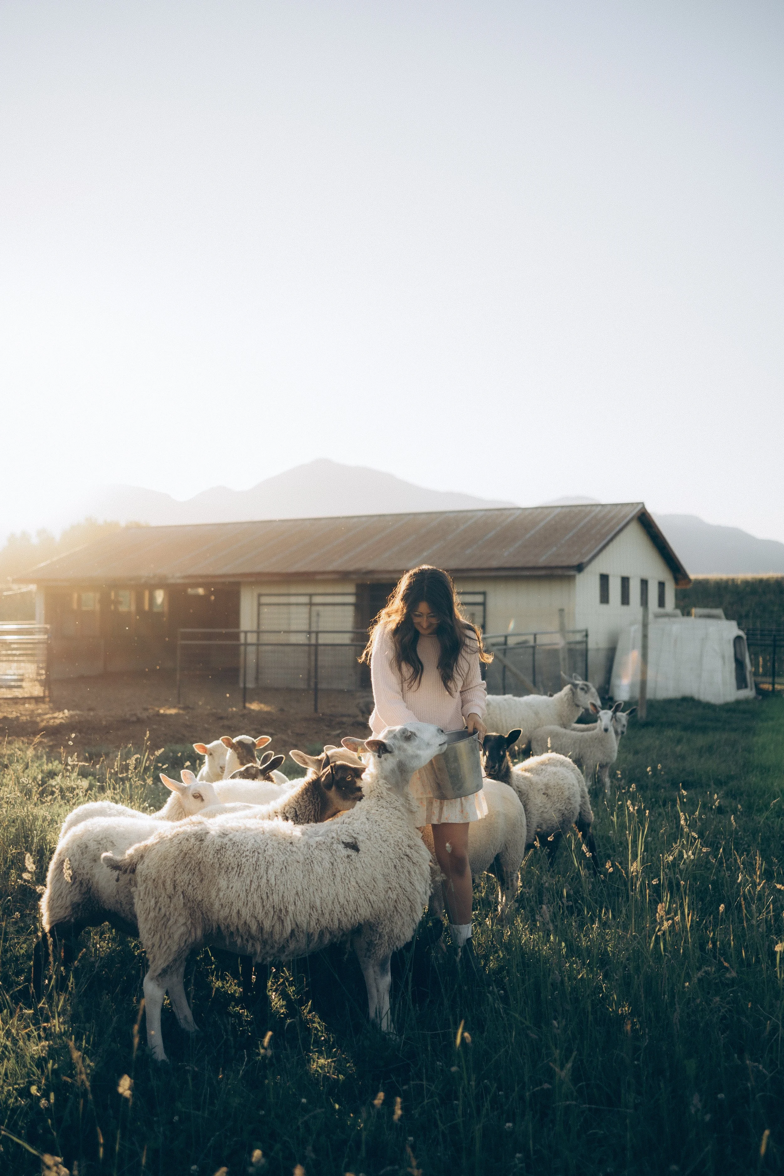 Provenance : A Quiet Return to What Matters