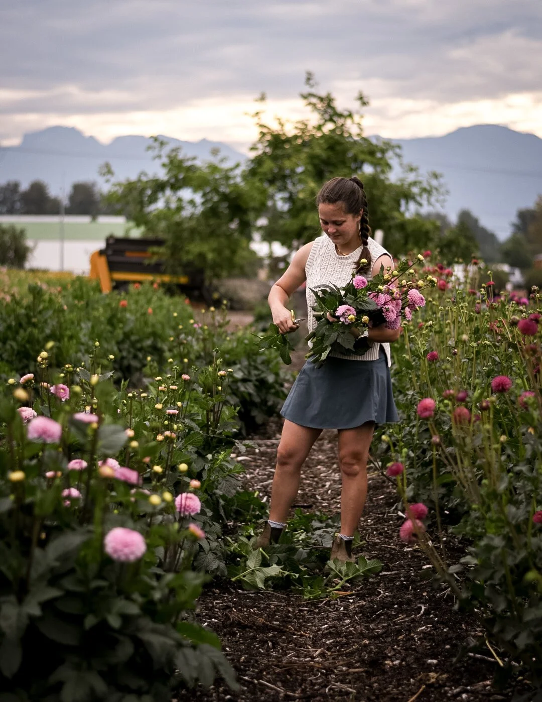 Field Note : Beyond the Bouquet