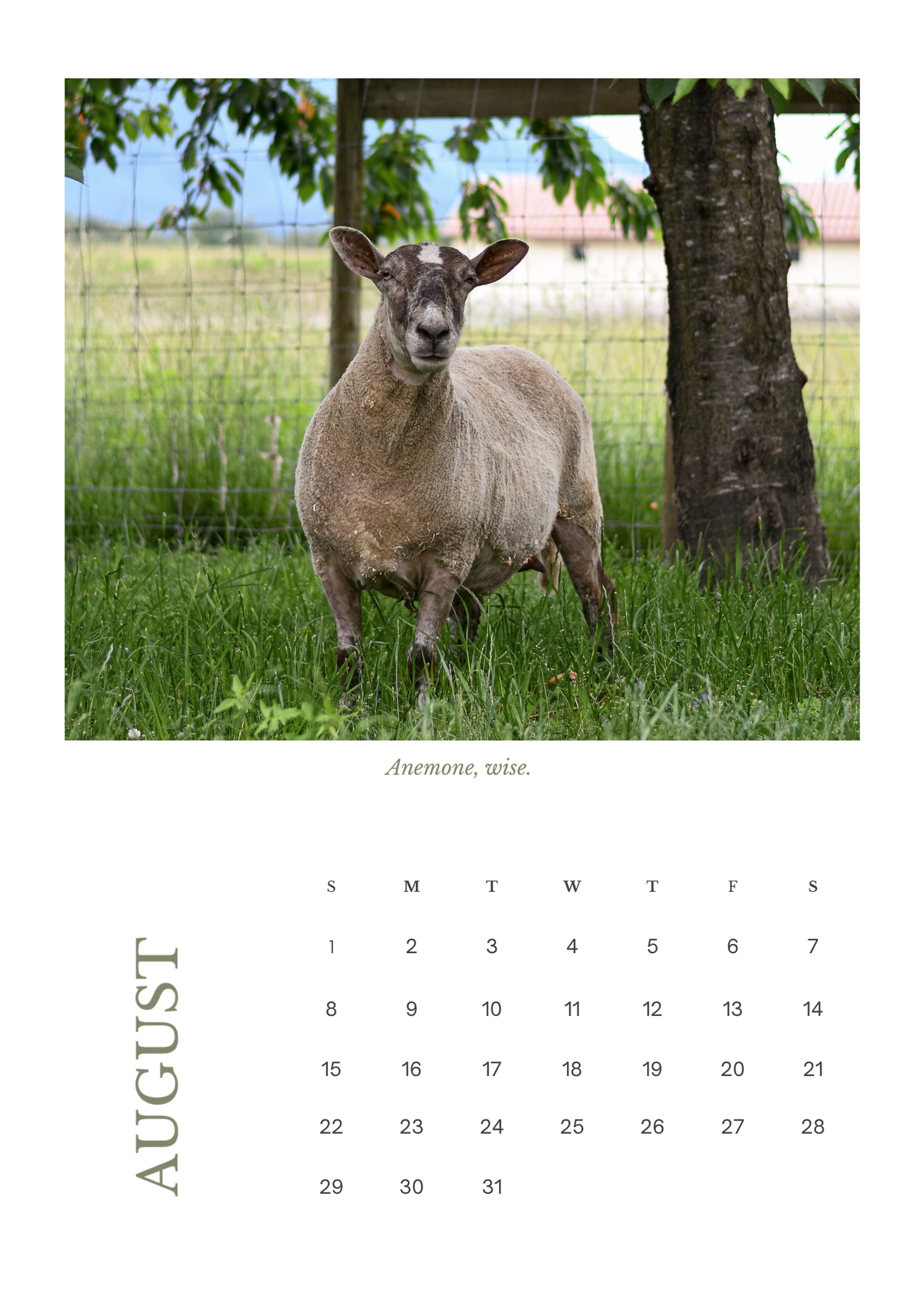 Sheep of Winsom (5 x 7 in) - 9.png